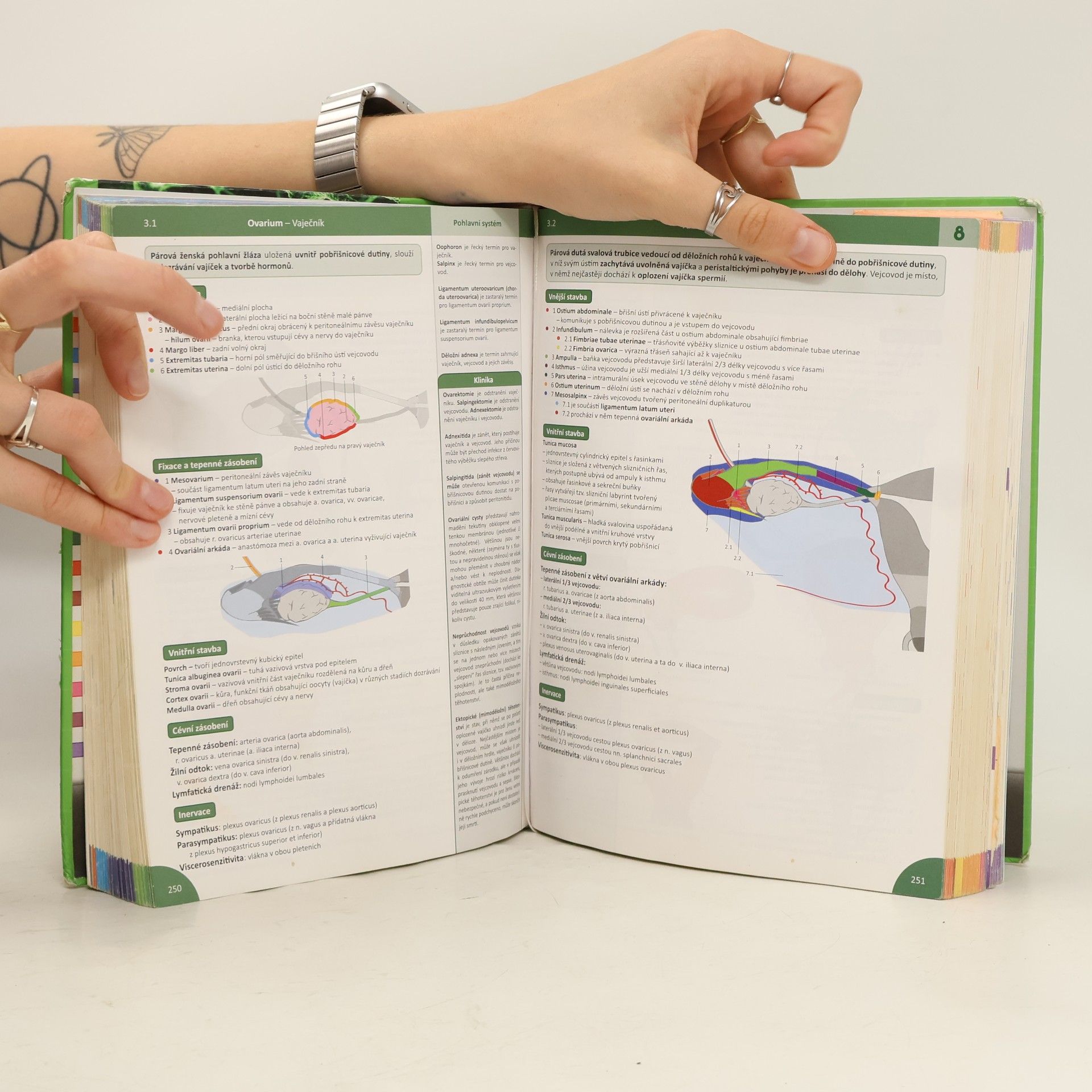 Radovan Hudák Memorix anatomie
