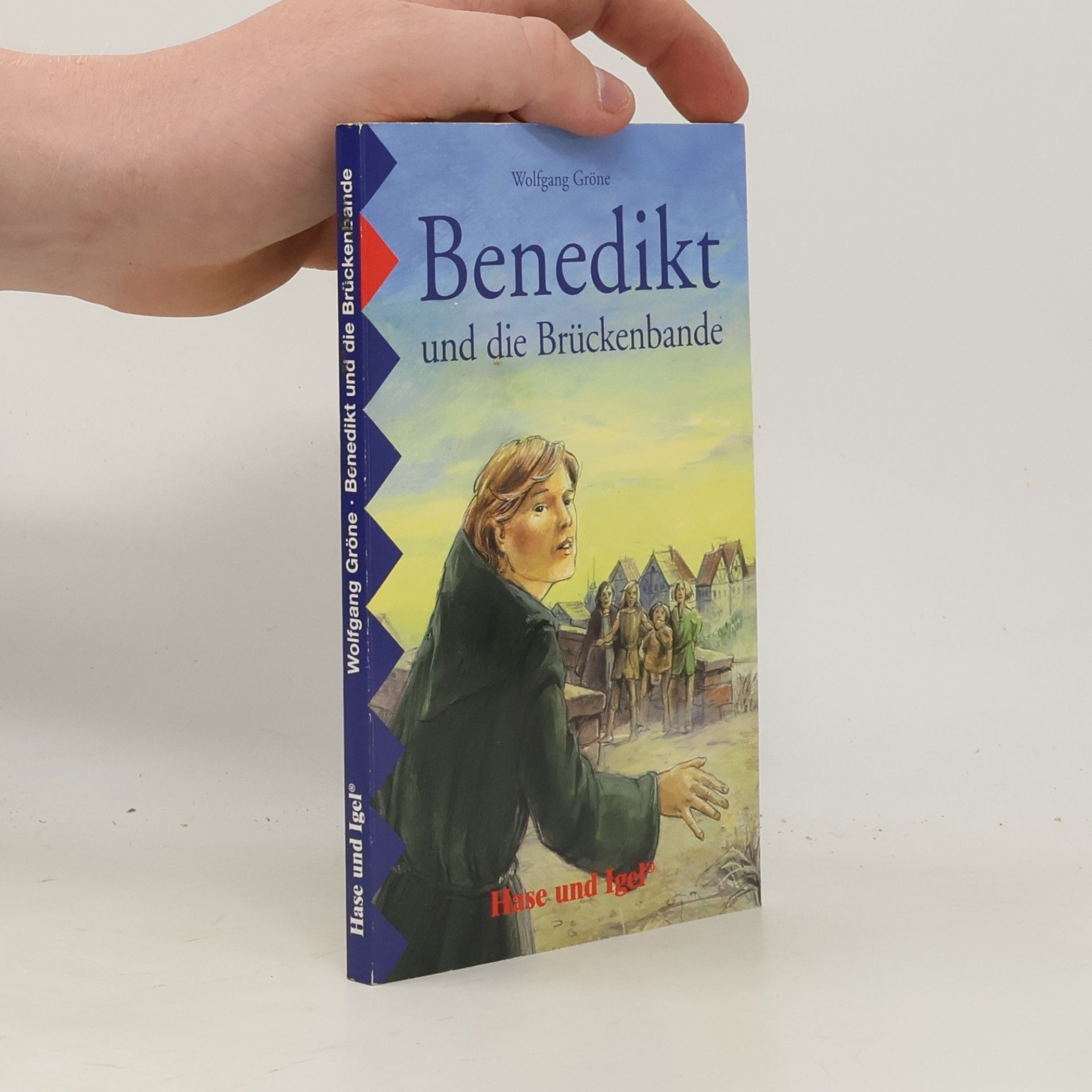 Wolfgang Gröne Benedikt und die Brückenbande, Schulausgabe