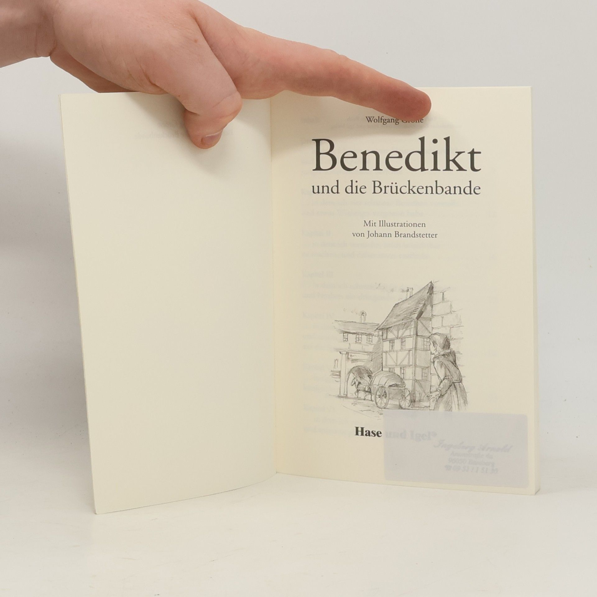 Wolfgang Gröne Benedikt und die Brückenbande, Schulausgabe