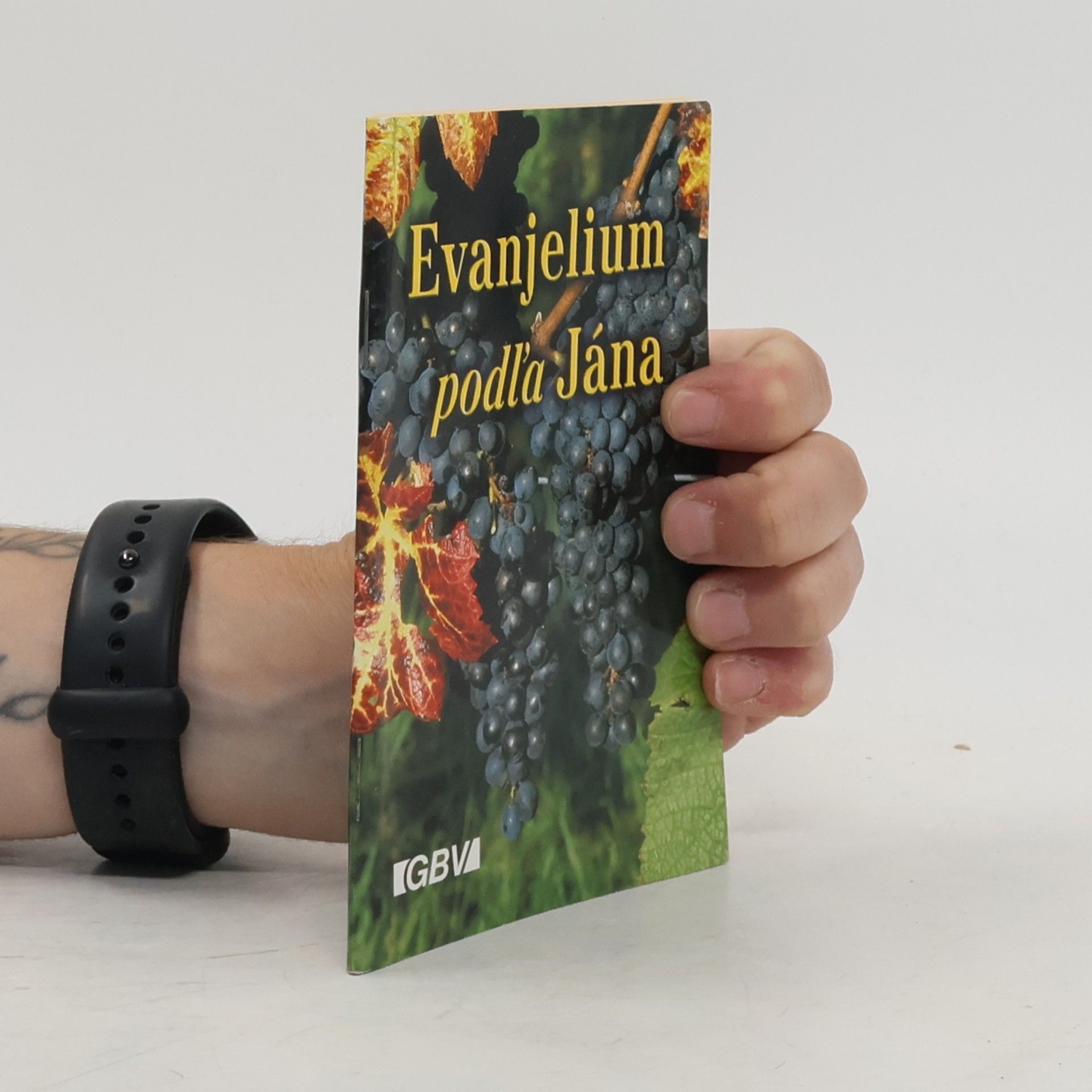 Collectif d'auteurs Evanjelium podľa Jána