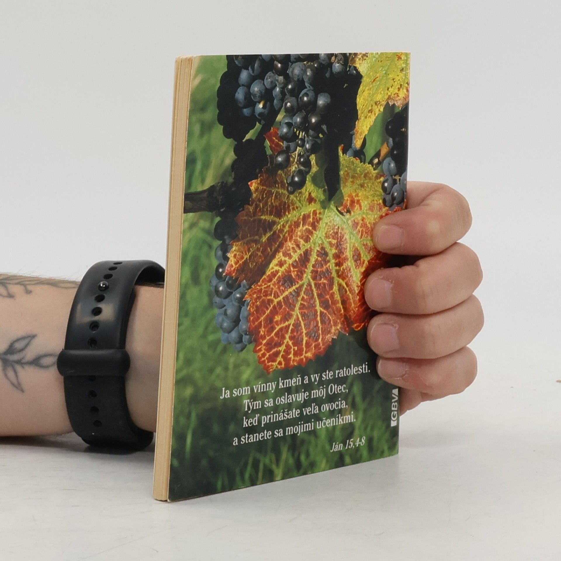 Autorenkollektiv Evanjelium podľa Jána