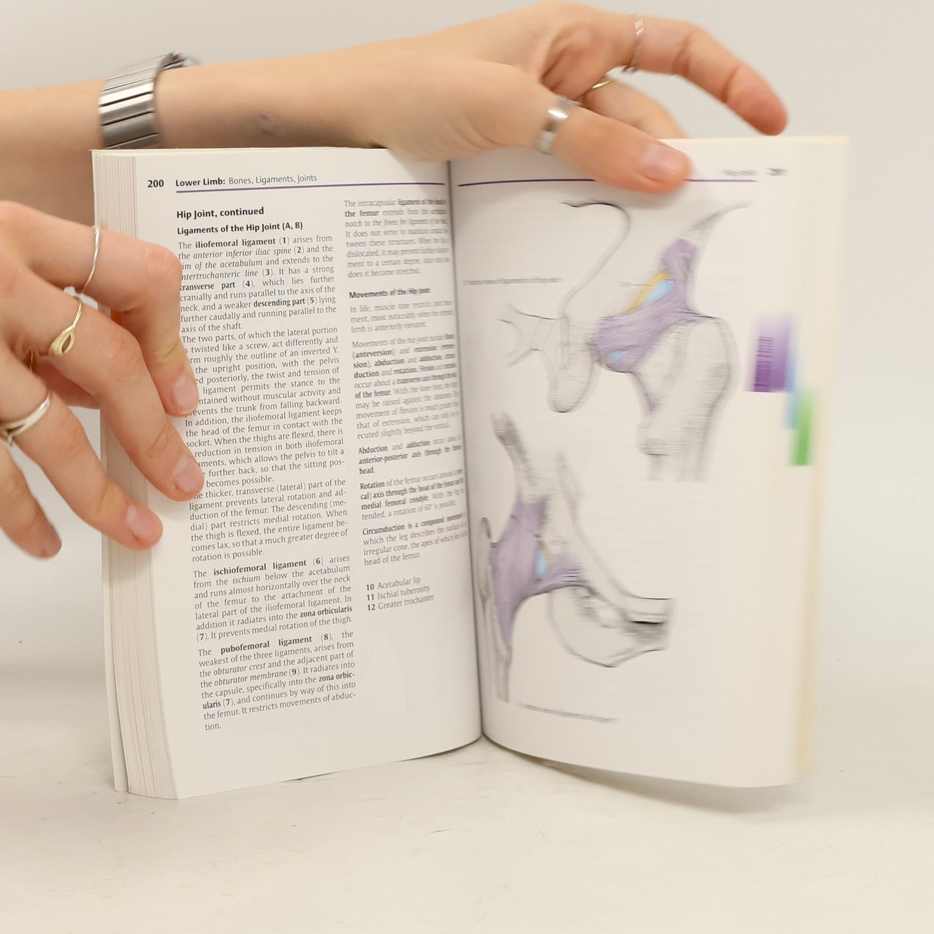 Werner Platzer Platzer Color atlas of human anatomy. Volume 1, Locomotor system