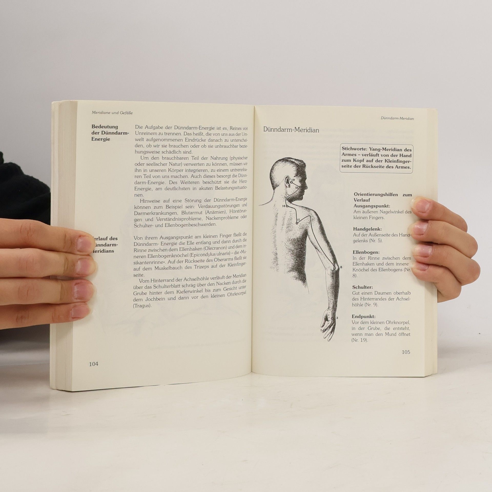 Wilfried Rappenecker Yu-sen - der sprudelnde Quell