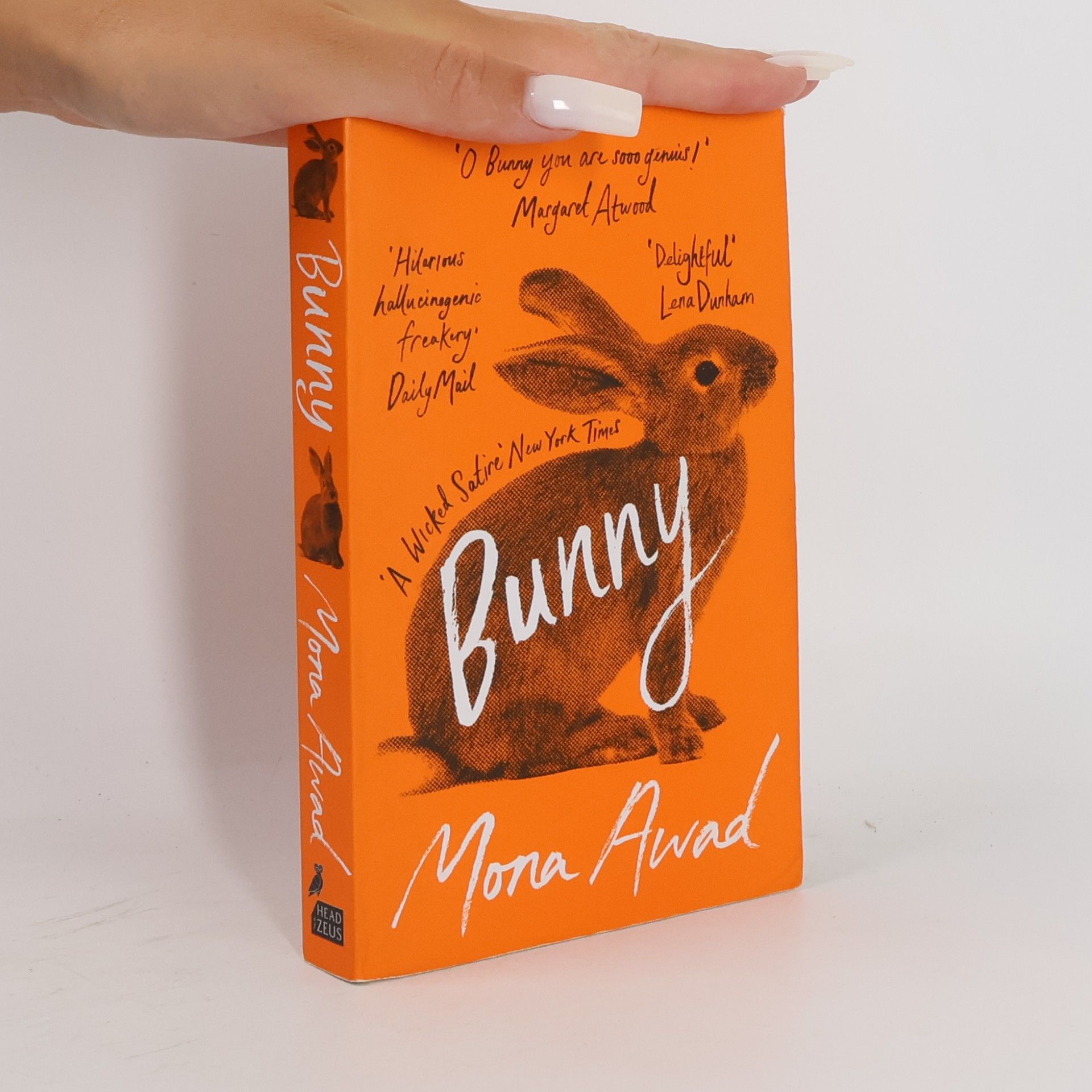 Mona Awad Bunny