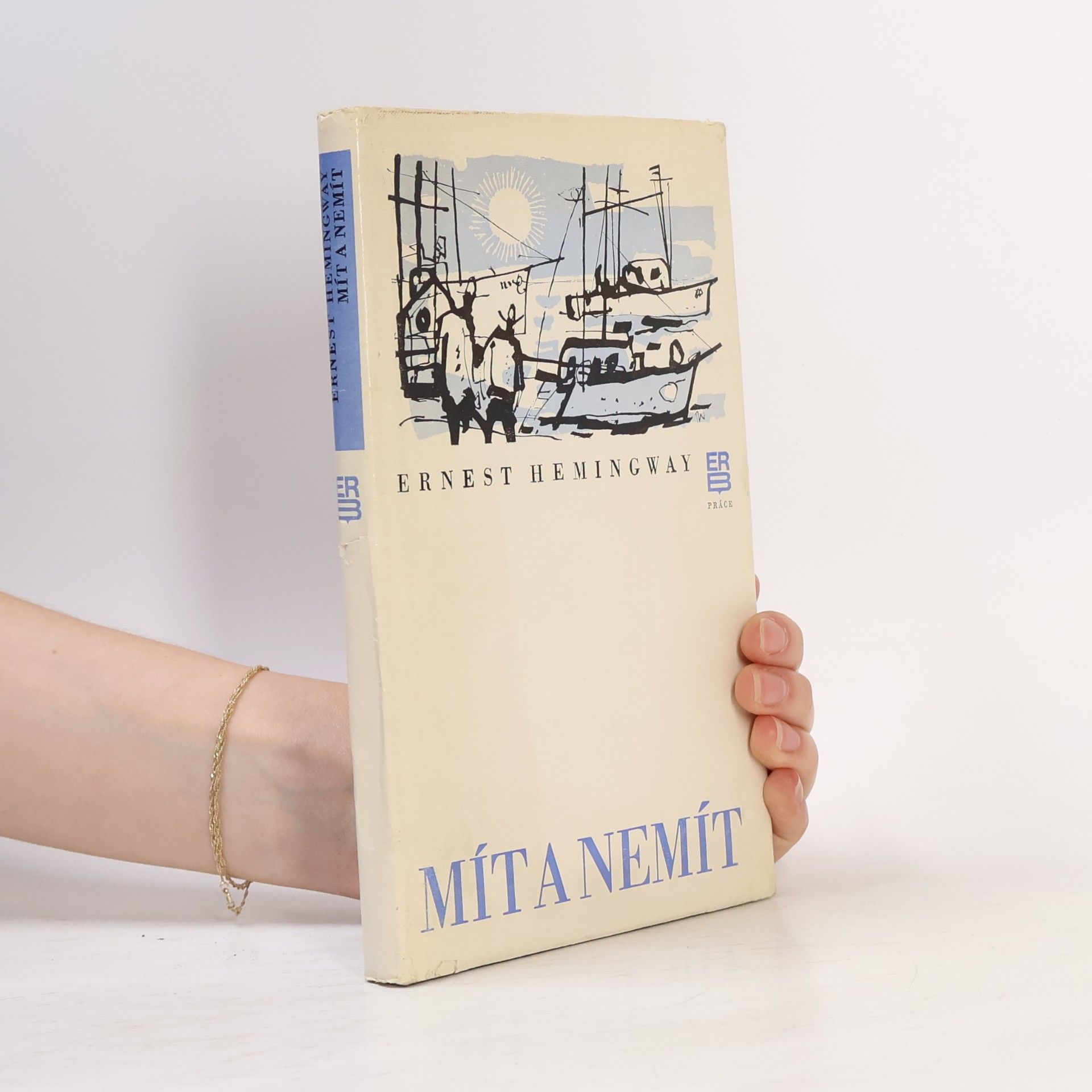 Ernest Hemingway Mít a nemít