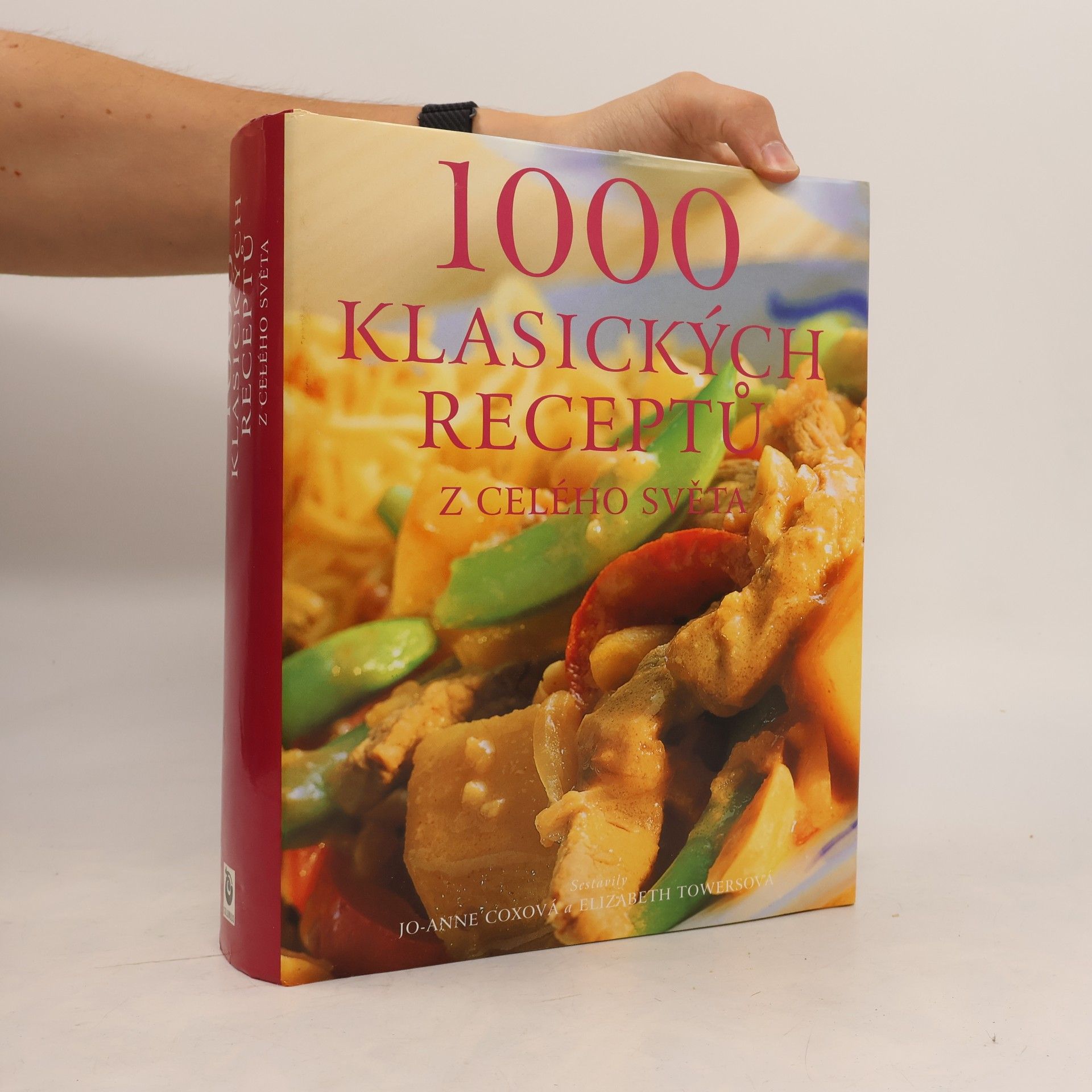 JoAnne Cox 1000 klasických receptů z celého světa