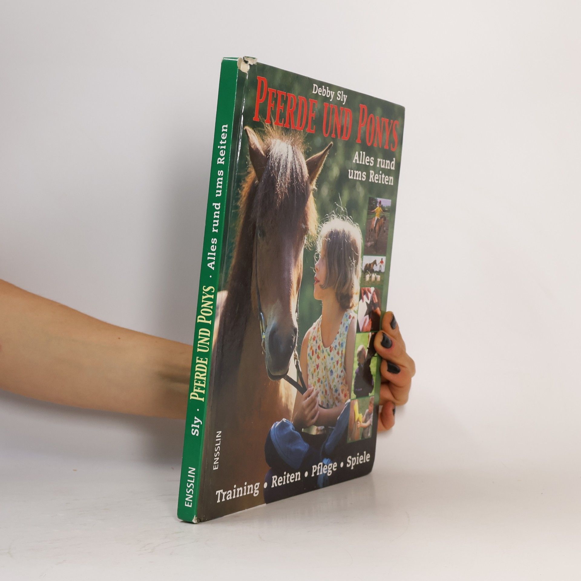 Pferde und Ponys