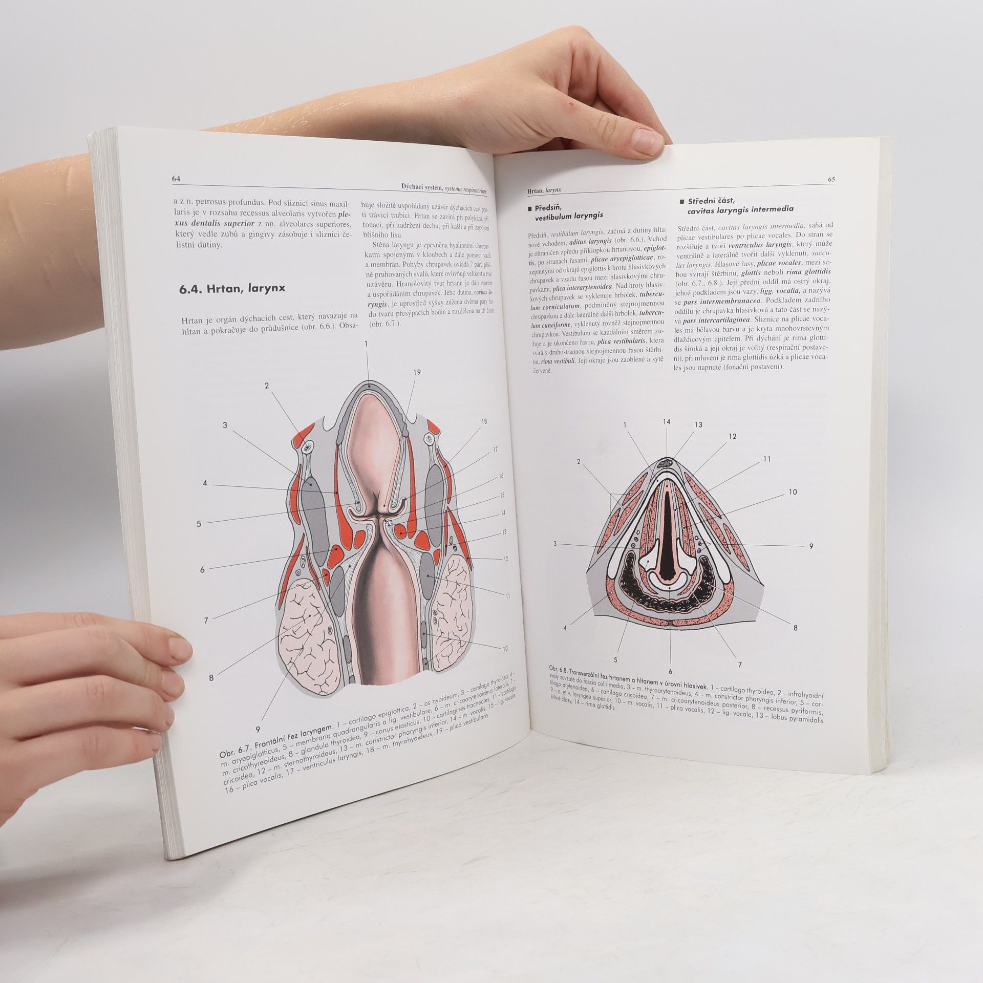 Miloš Grim Základy anatomie 3. Trávicí, dýchací, močopohlavní a endokrinní systém