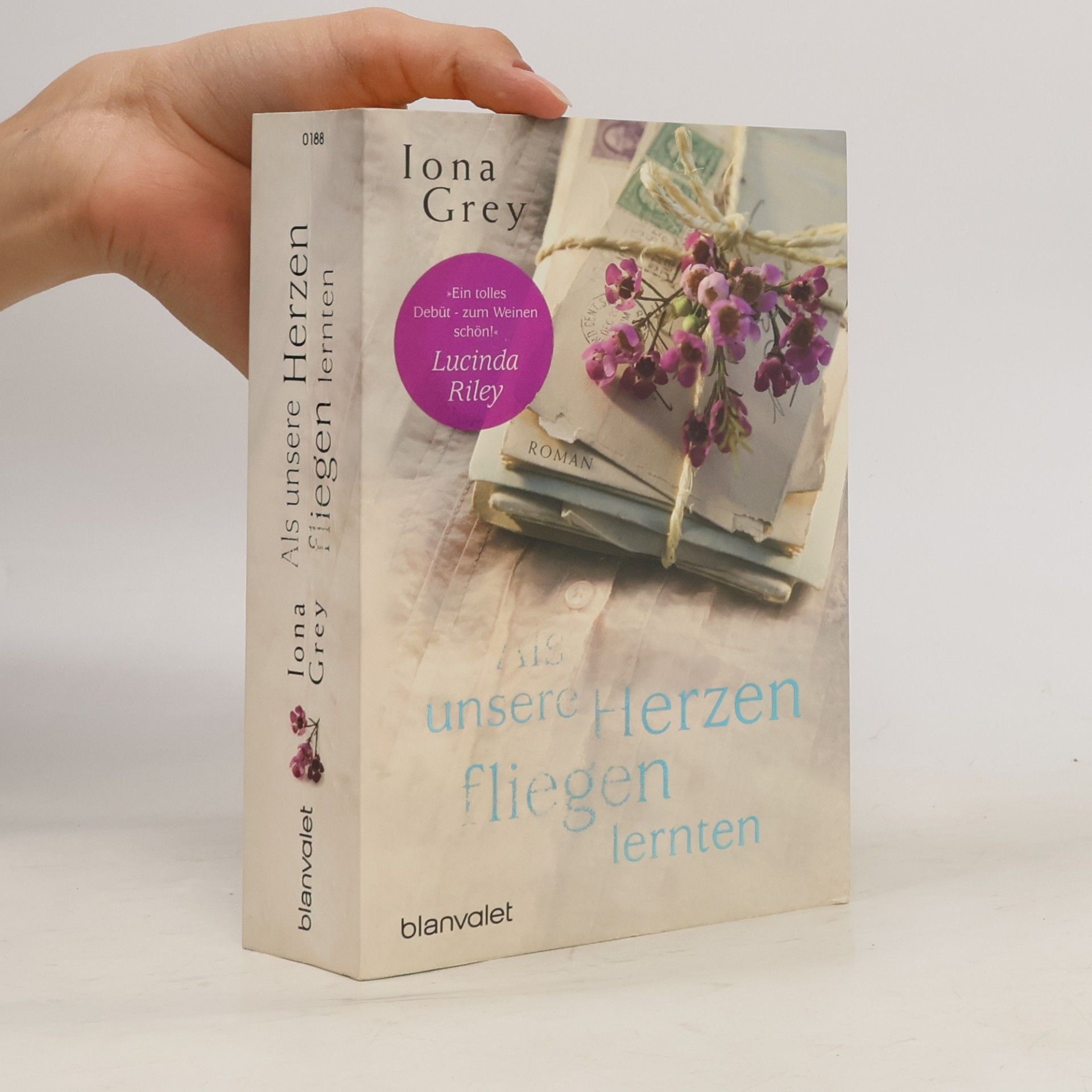 Iona Grey Als unsere Herzen fliegen lernten