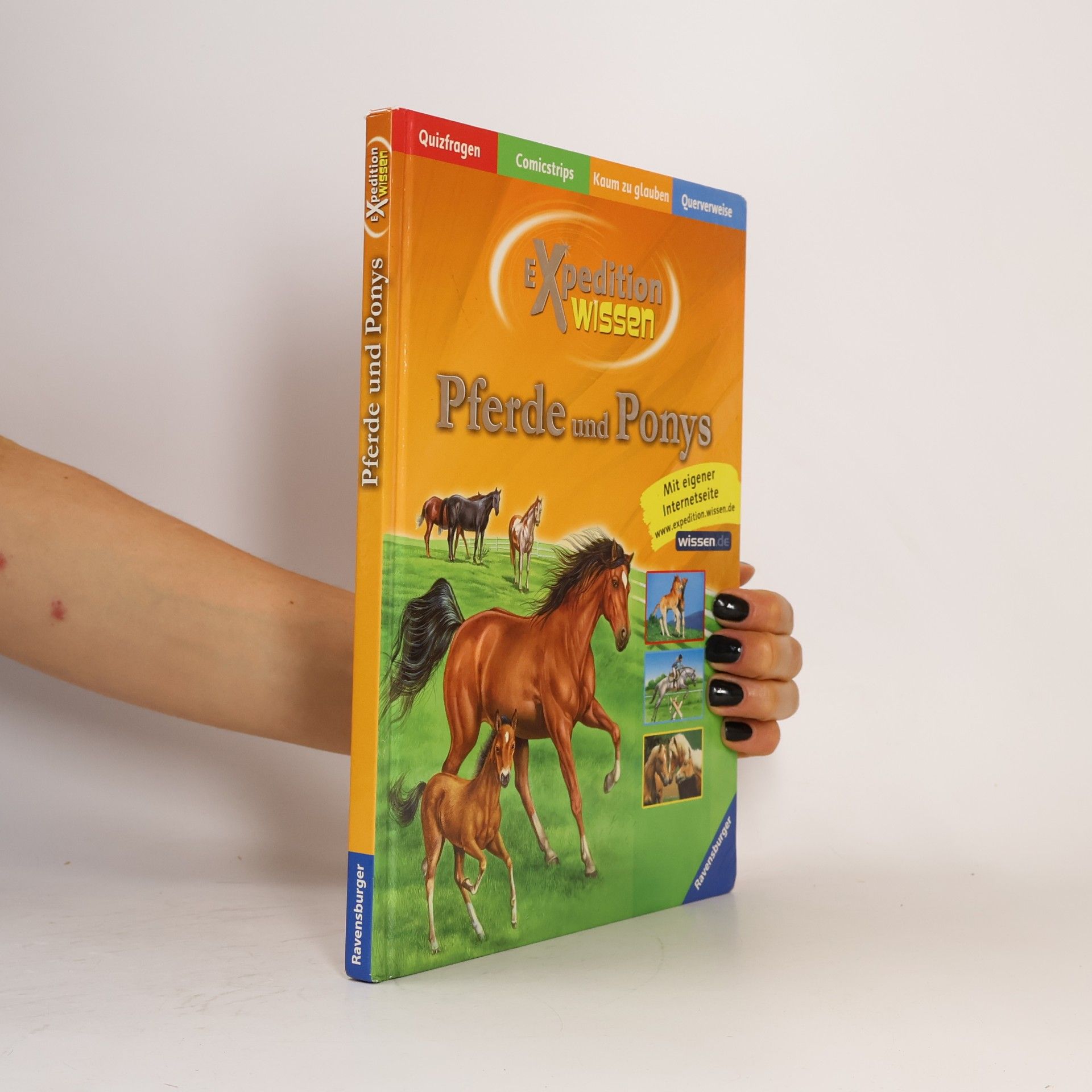 Pferde und Ponys