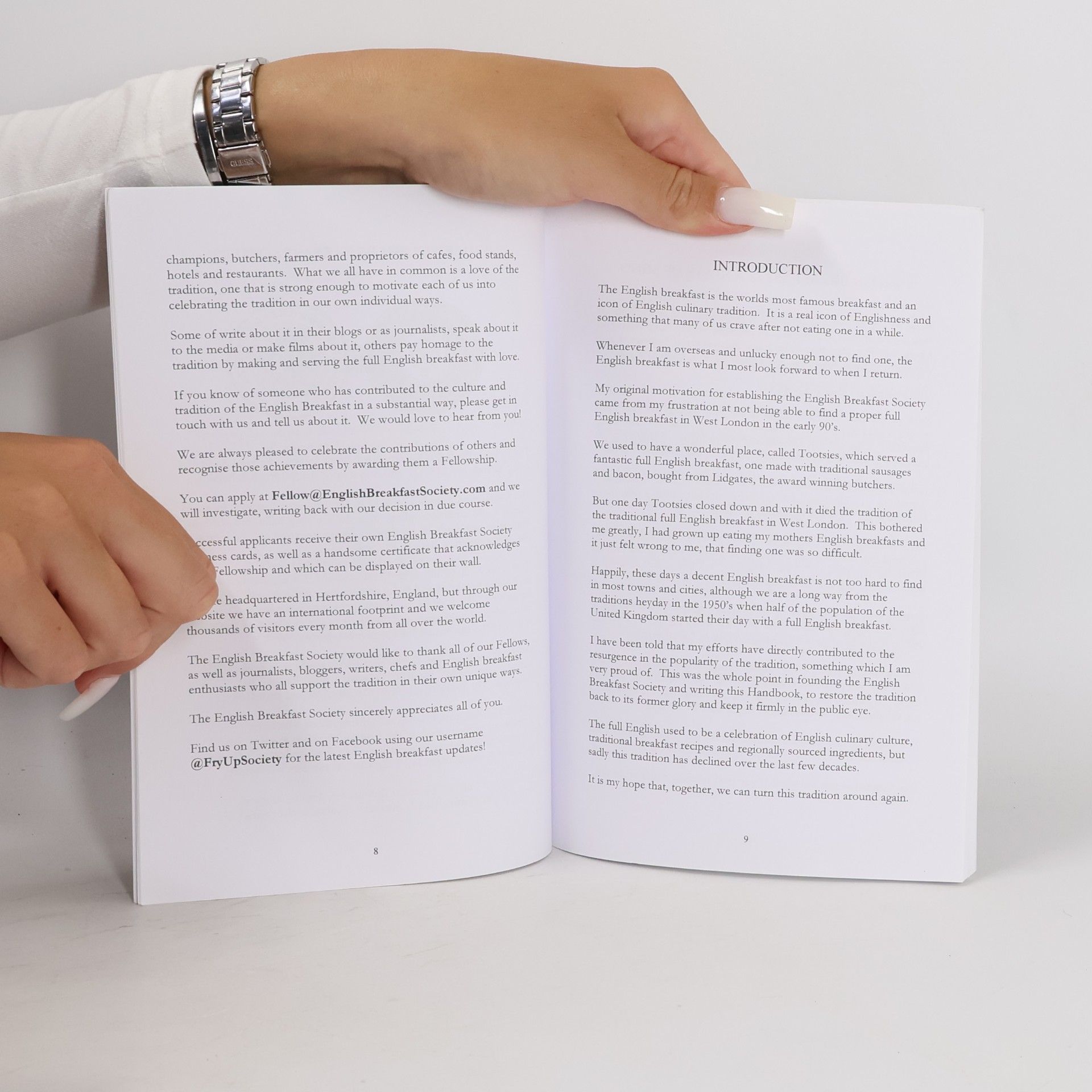 Mr Guise Bule English Breakfast Handbook