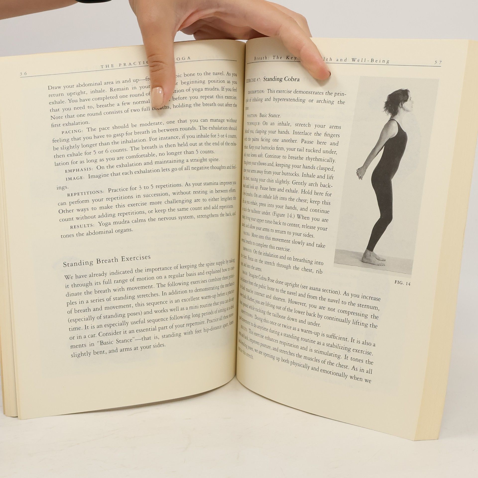 Mara Carrico Yoga Basics