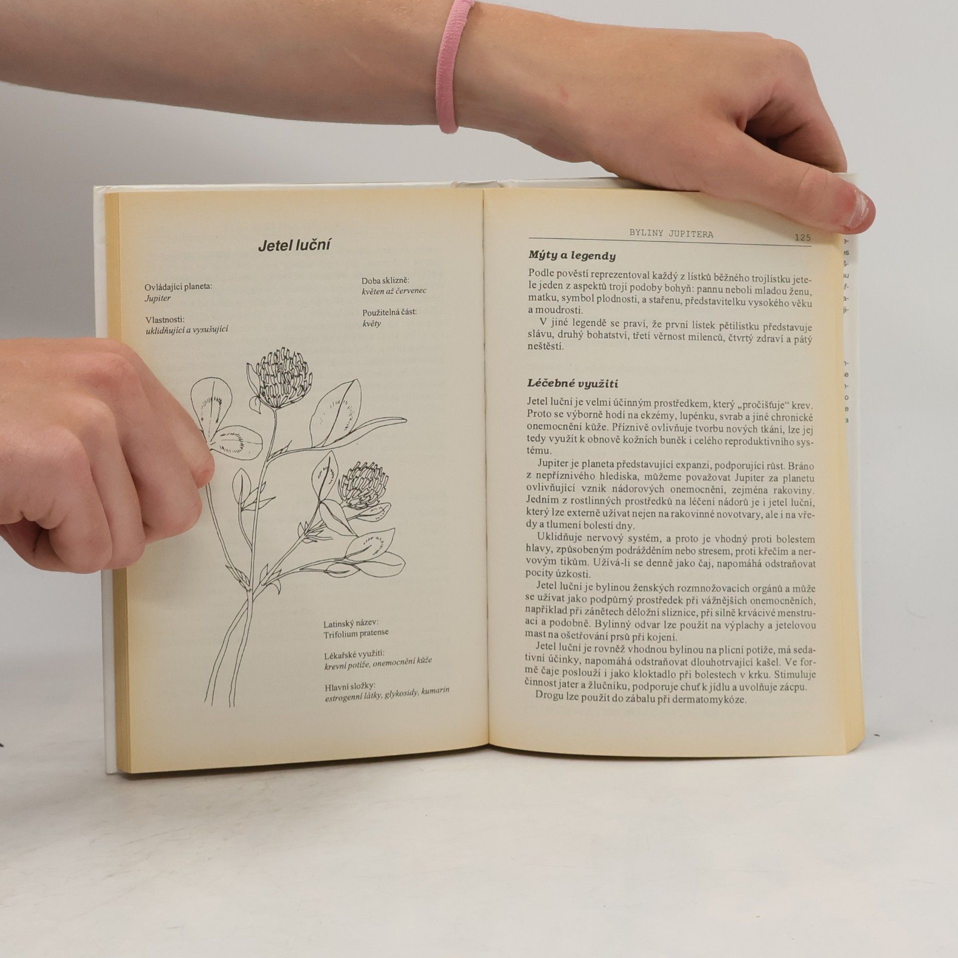Elisabeth Brooke Léčivé rostliny a planety