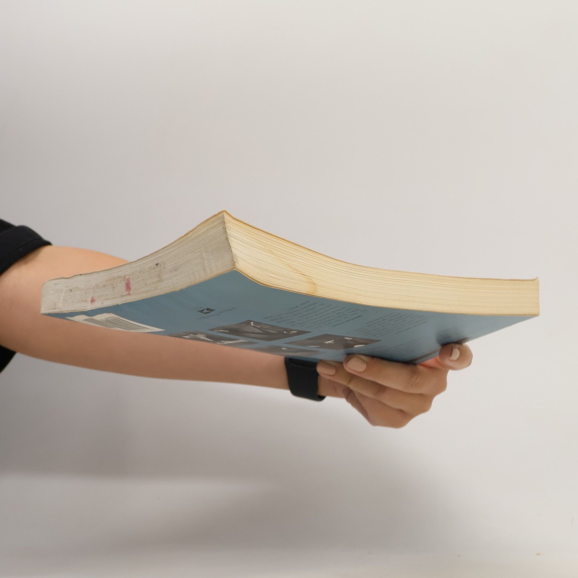 Anne Kent Rush The Modern Book of Yoga