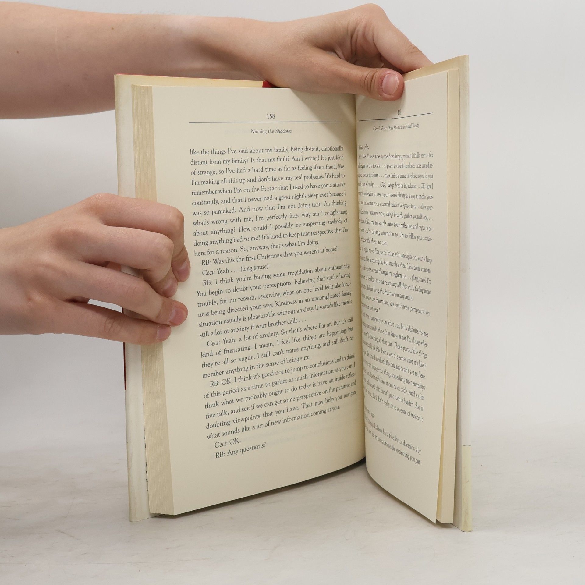 Susan L. Roth Naming the Shadows