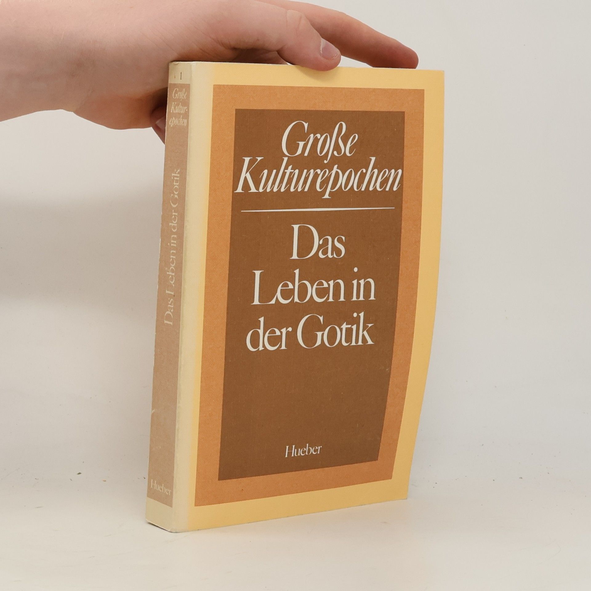 Das Leben in der Gotik