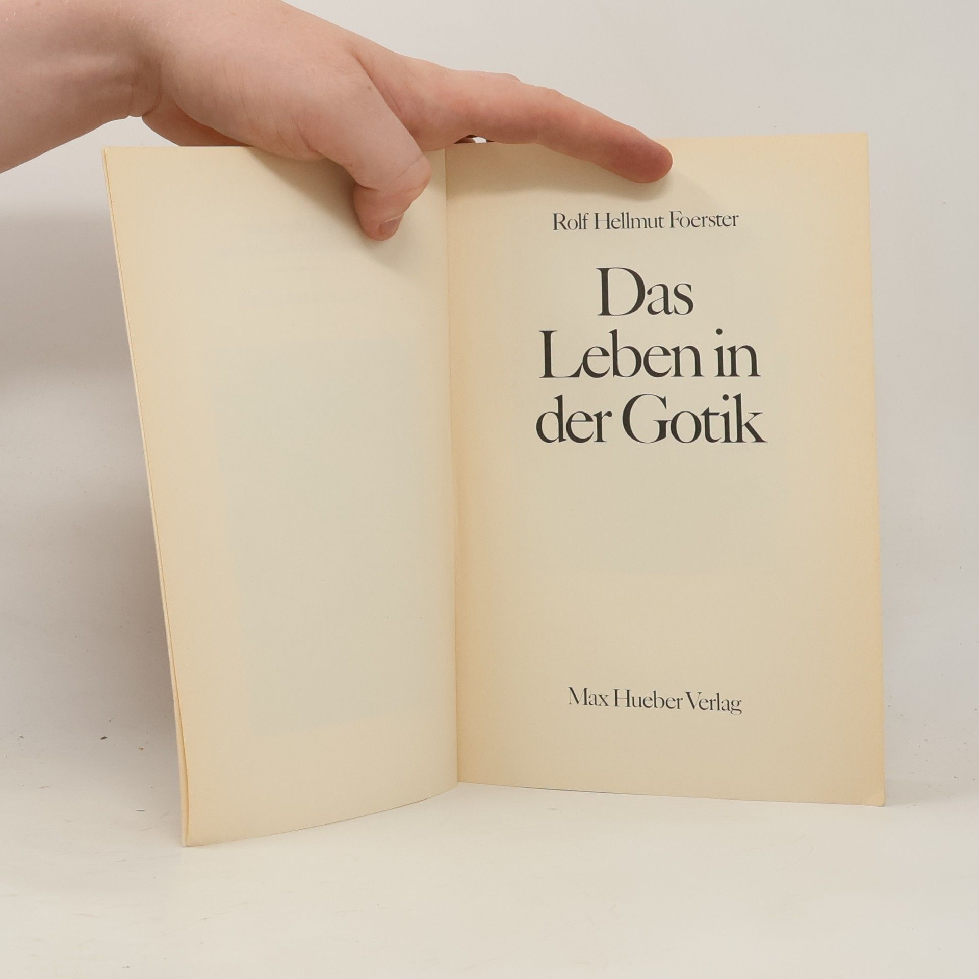 Rolf Hellmut Foerster Das Leben in der Gotik