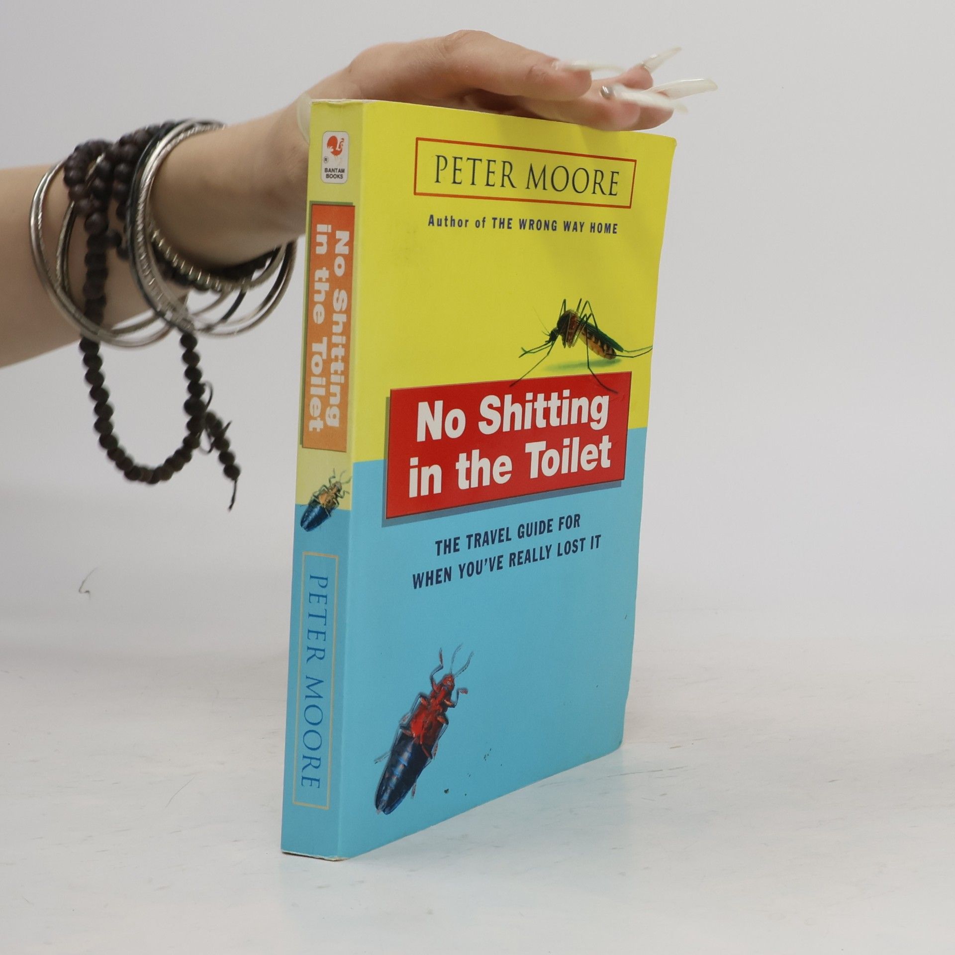 No shitting in the toilet : the travel guide for when you've really lost it