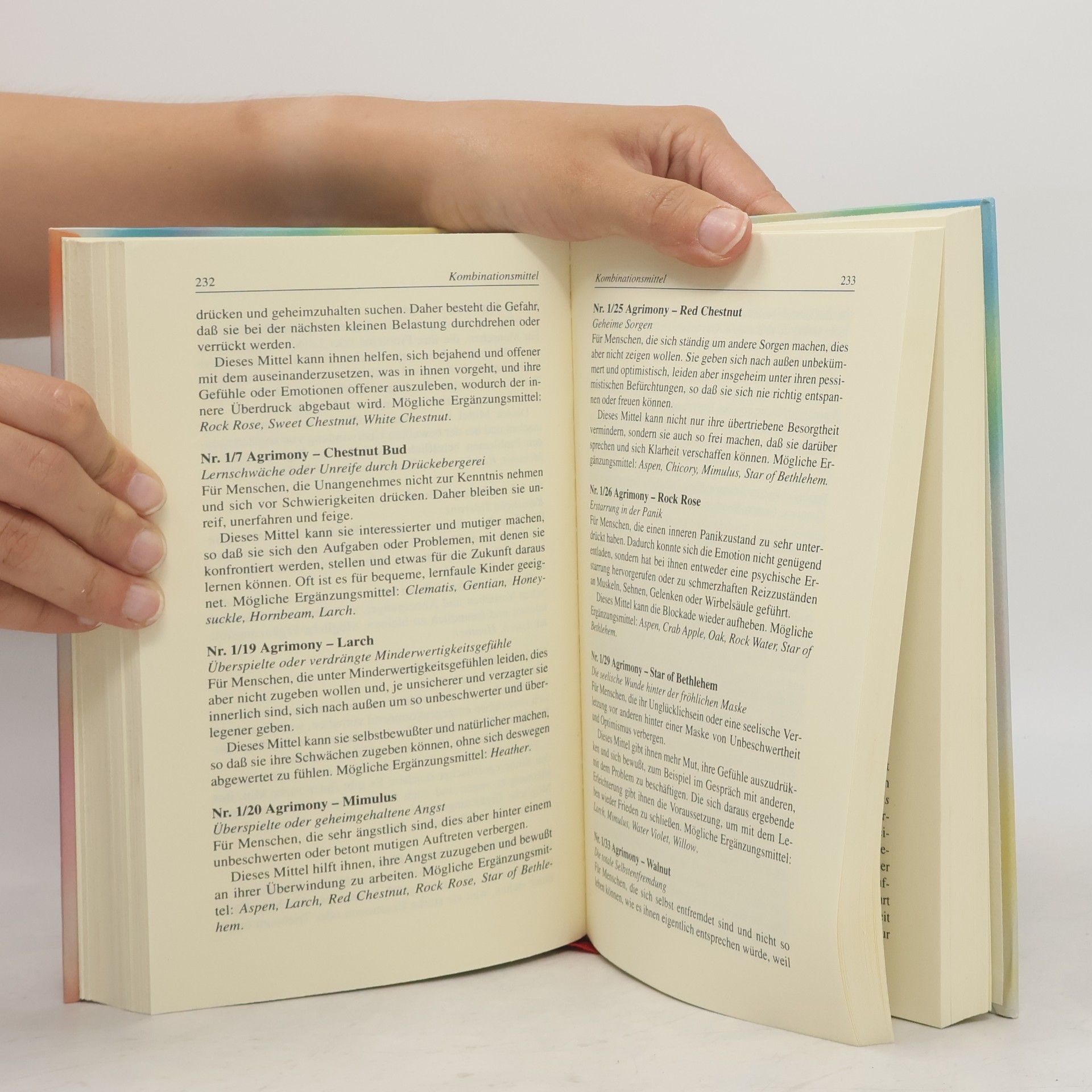 Götz Blome Das neue Bach-Blüten-Buch