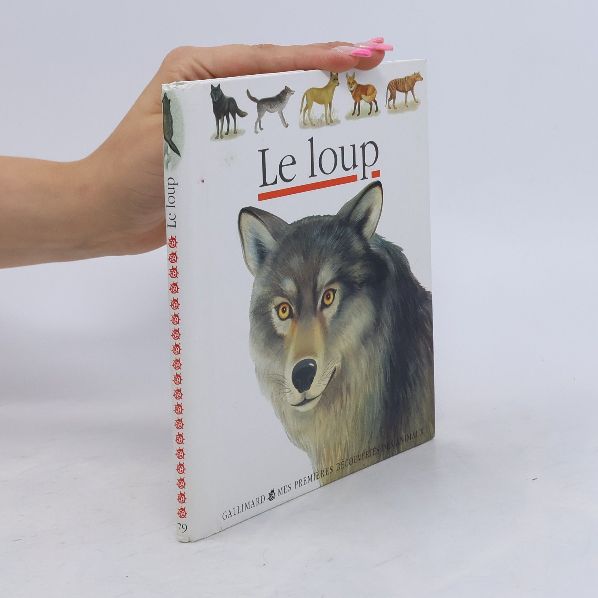 Autorenkollektiv Le loup