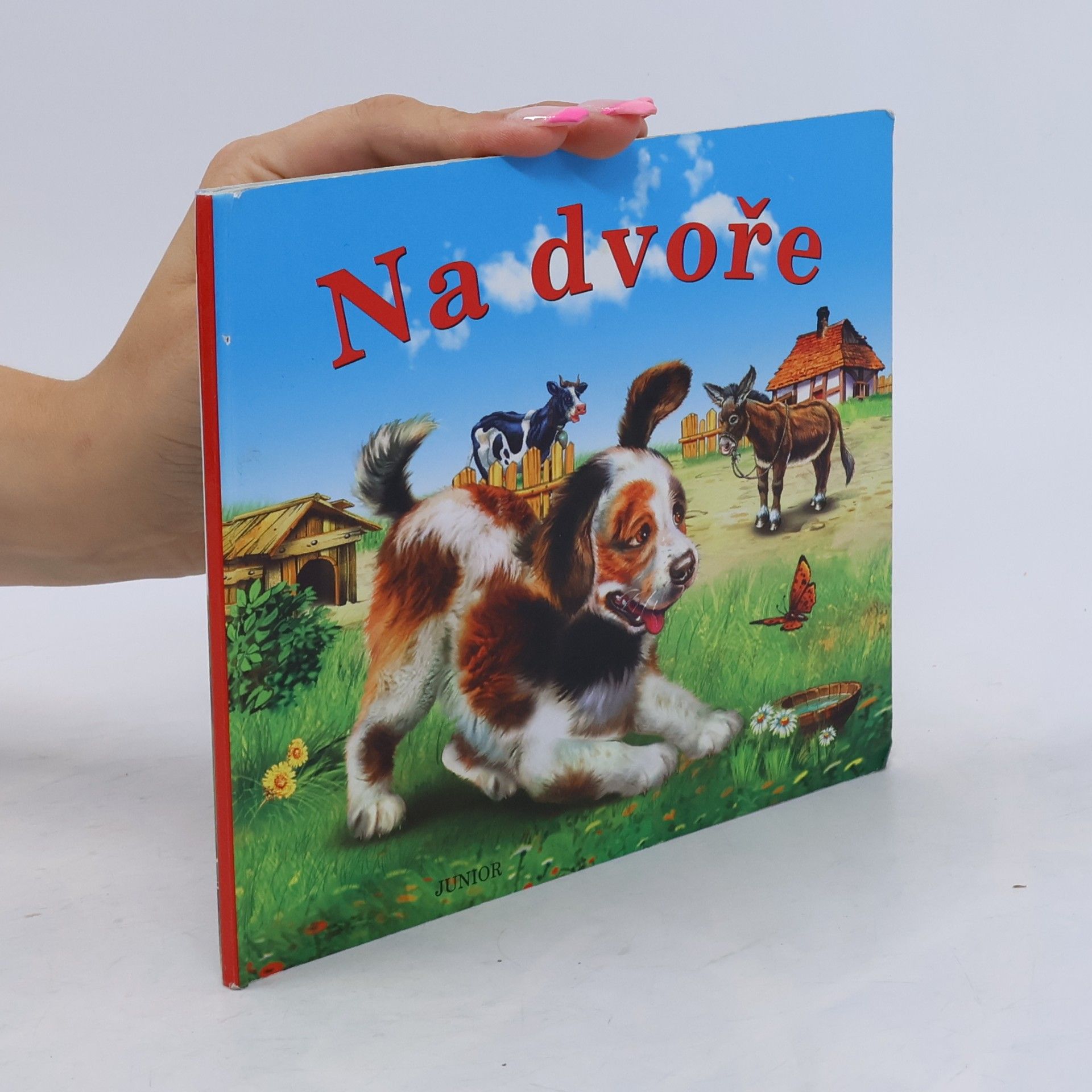 Zuzana Pospíšilová Na dvoře