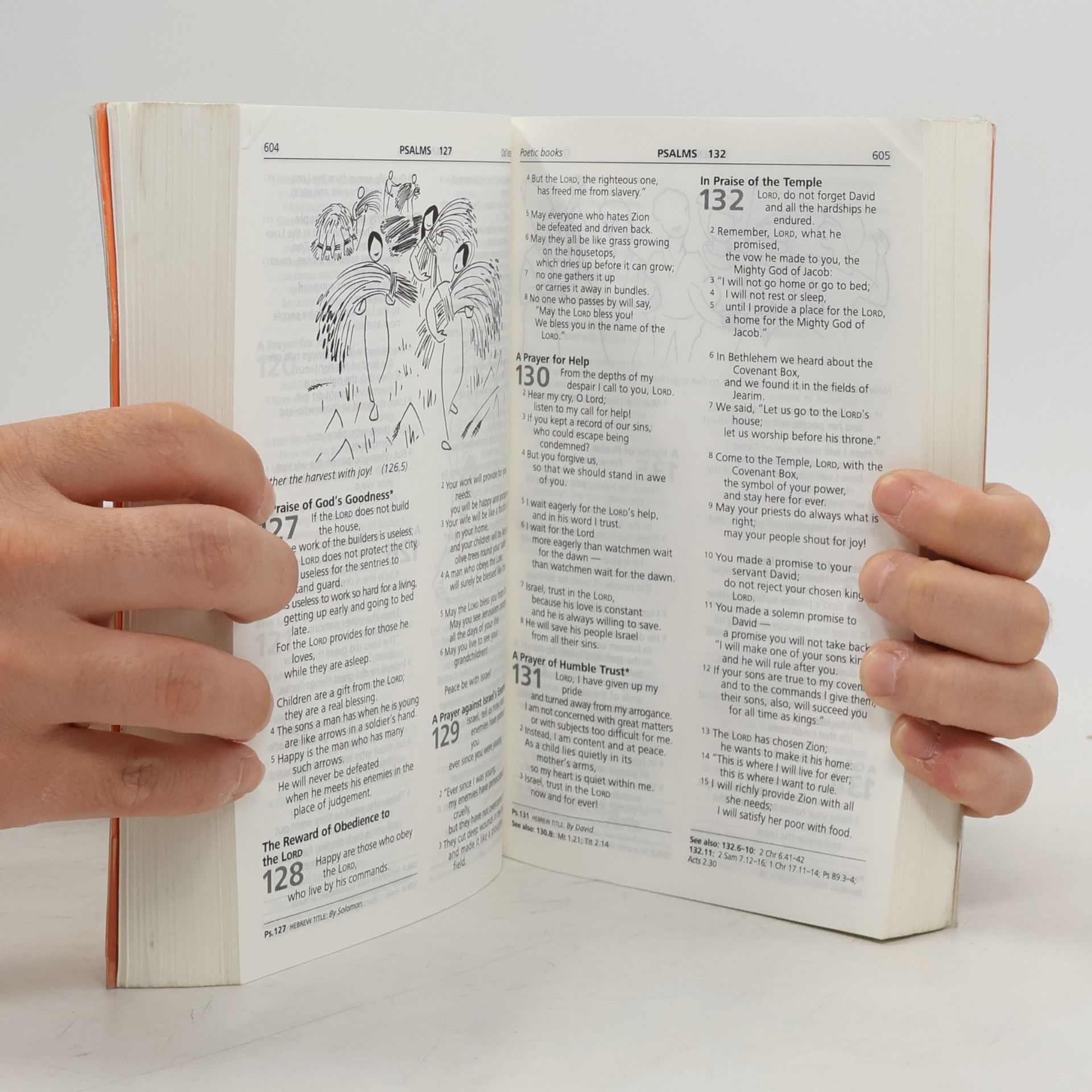 Anonymous Sunrise: Good News Bible