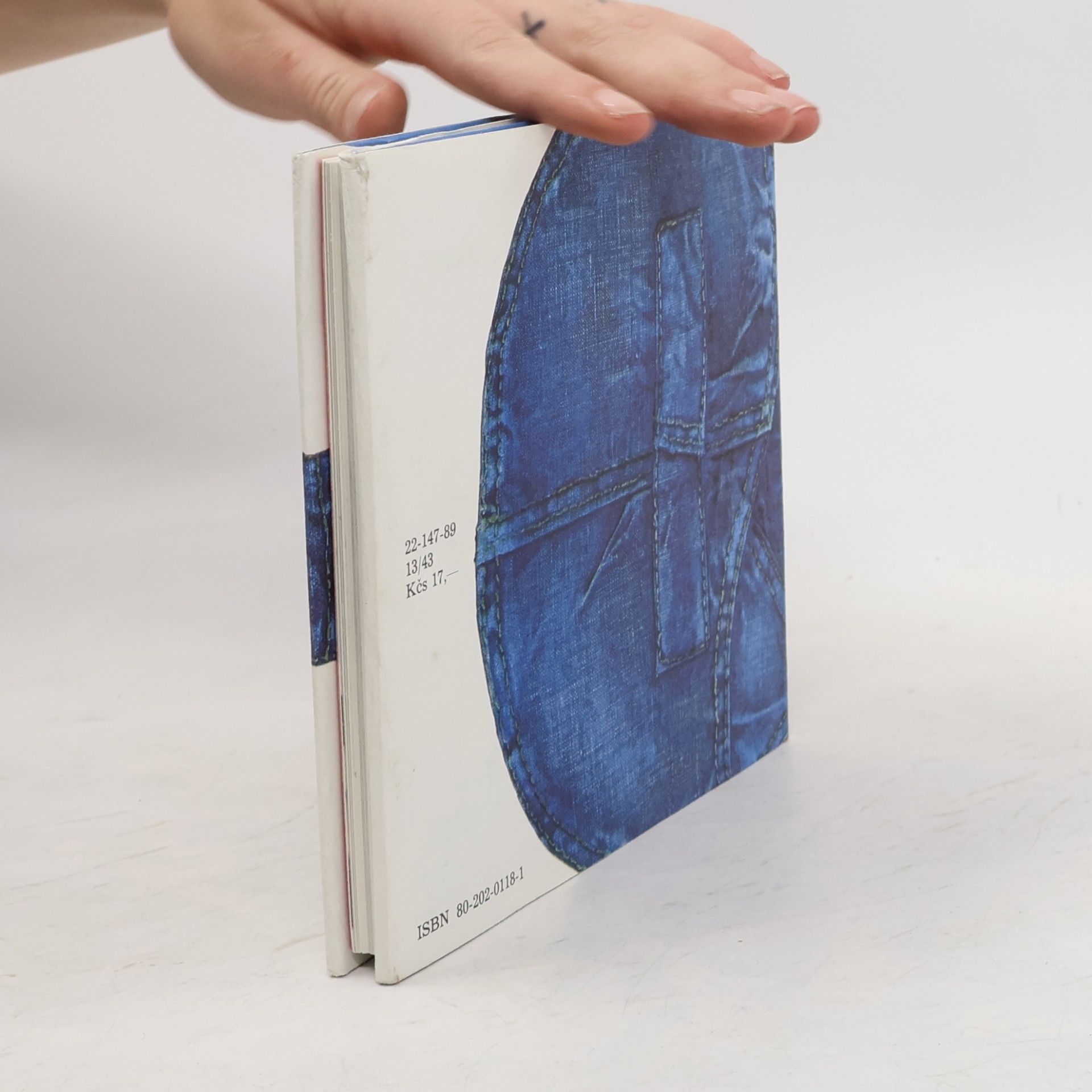 Miroslav Jiránek Láska je kytarové sólo