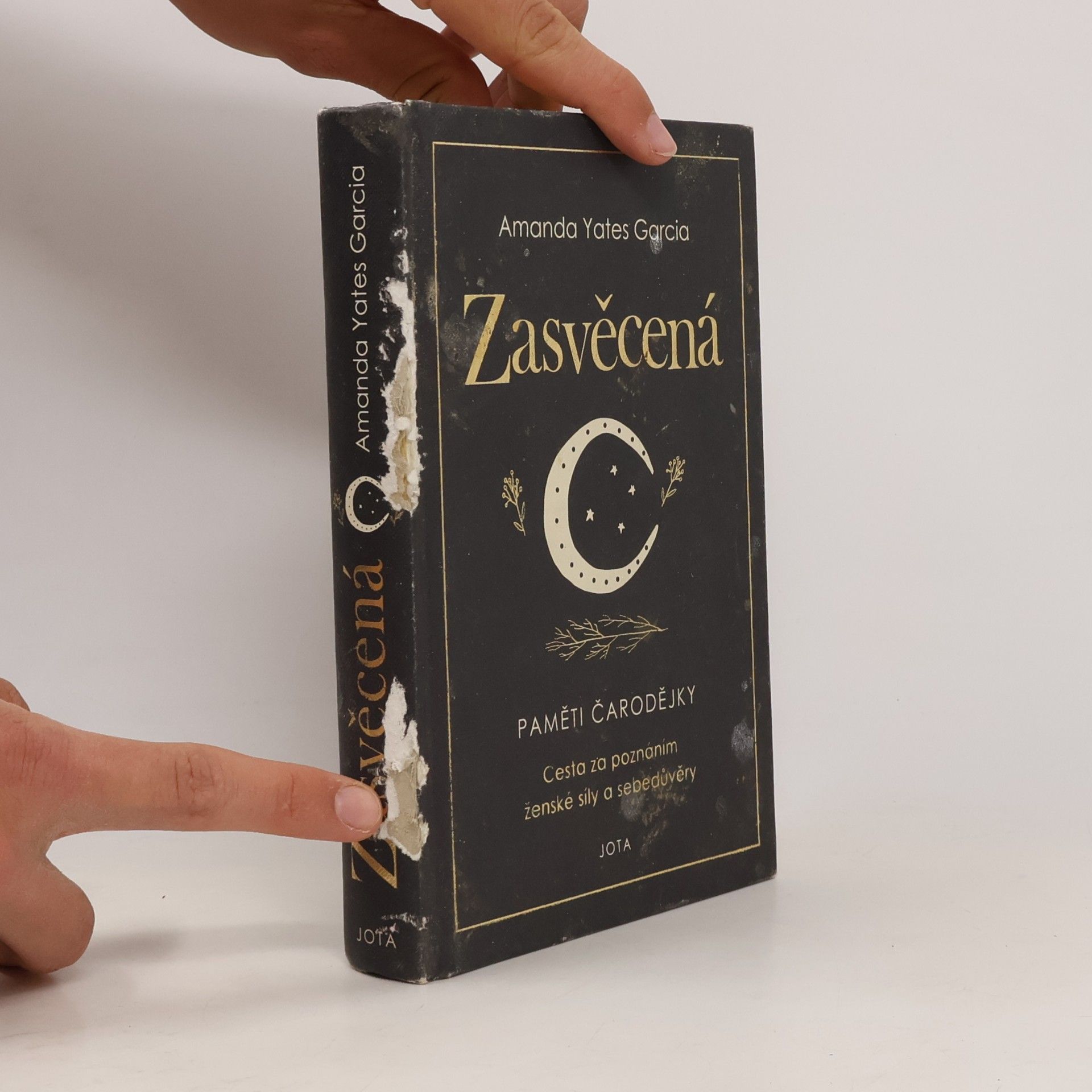Amanda Yates Garcia Zasvěcená : paměti čarodějky