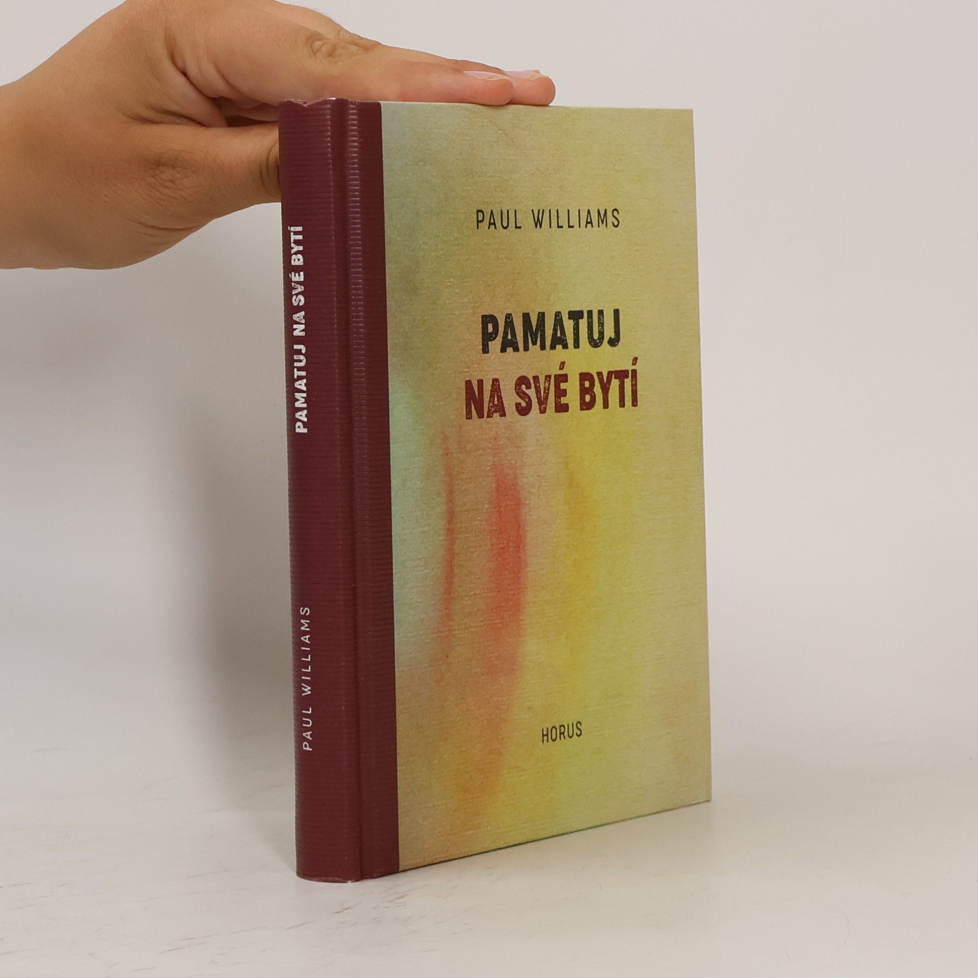 Paul Williams Pamatuj na své bytí