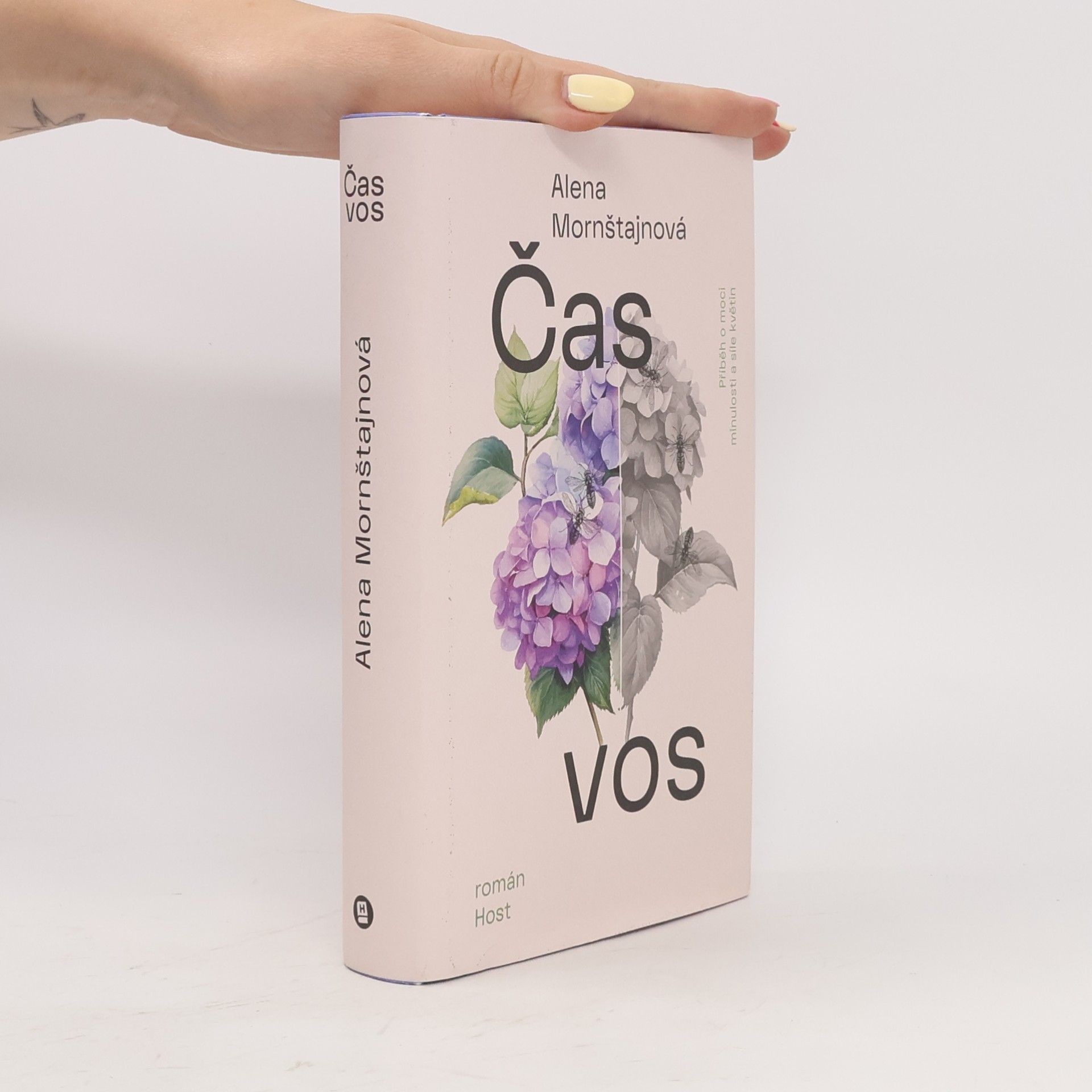 Čas vos