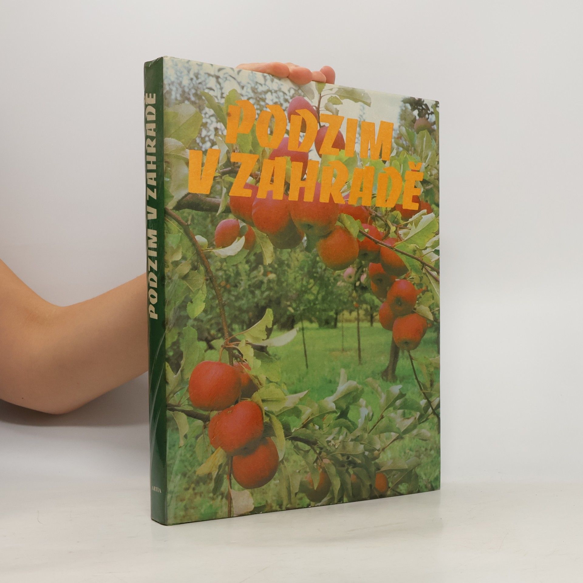 Kolektiv autorů Podzim v zahradě