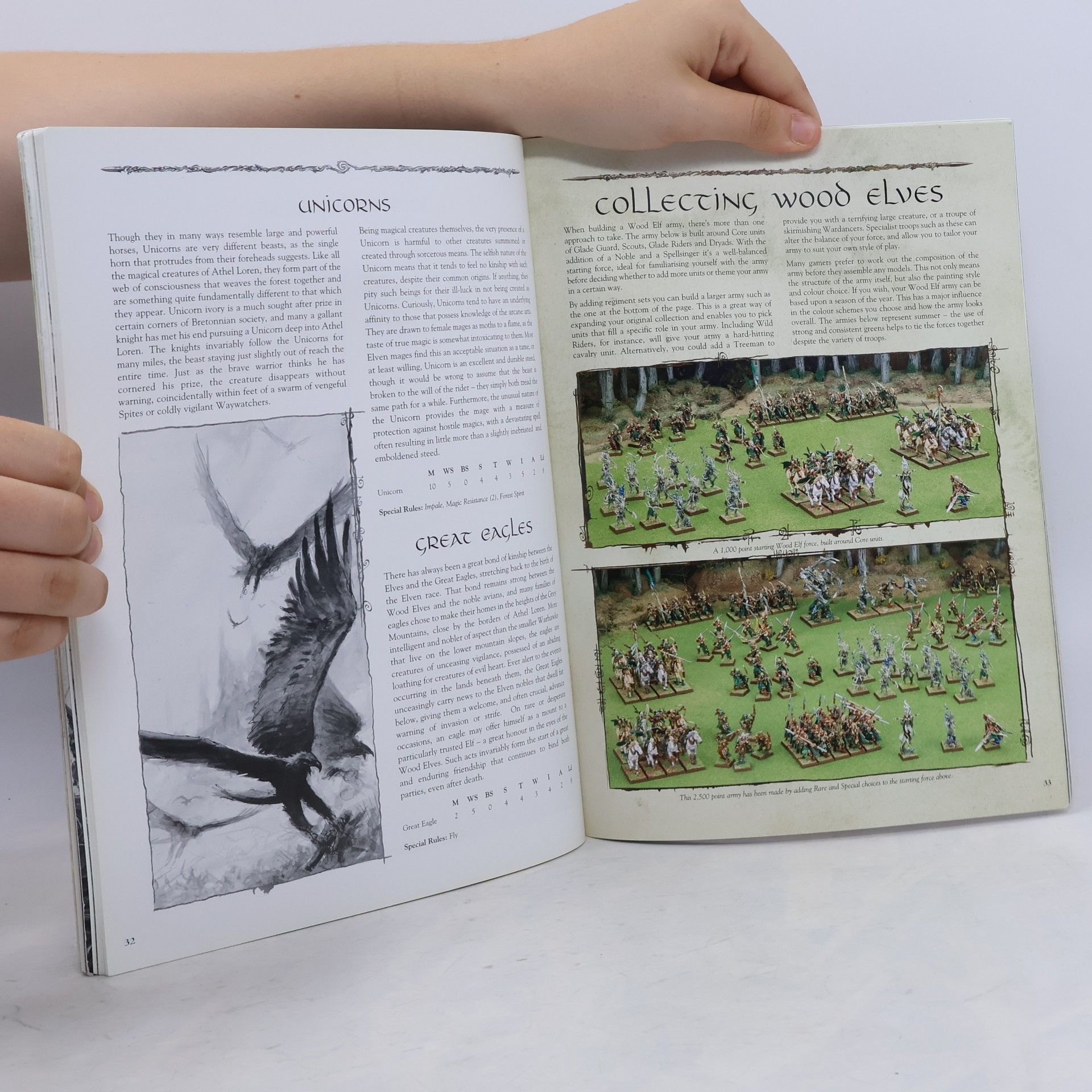 Matthew Ward Warhammer Armies: Wood Elves
