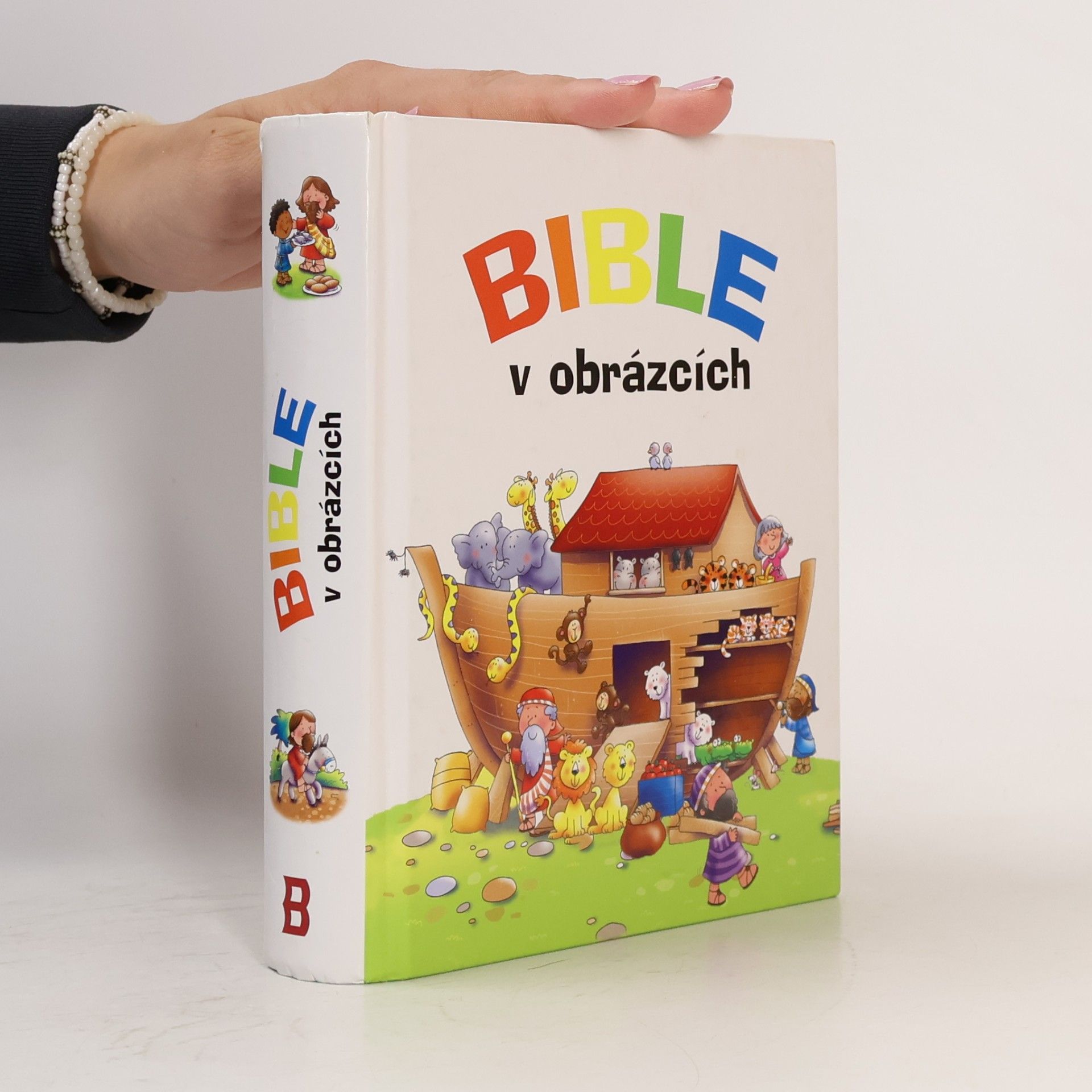 Bible v obrázcích