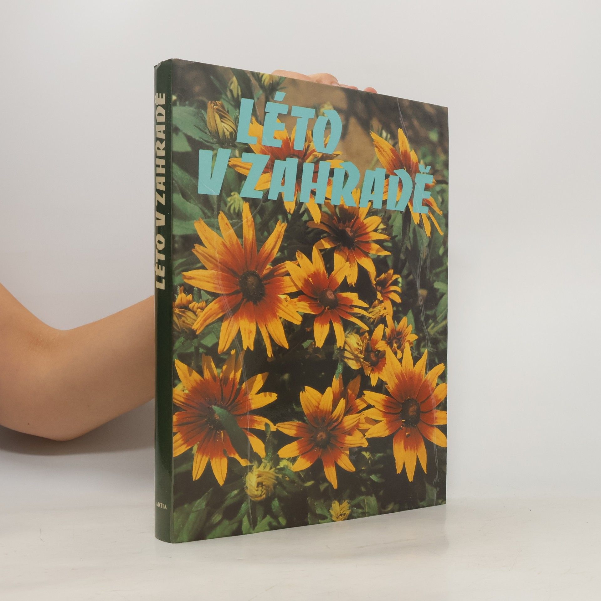 Various authors Léto v zahradě