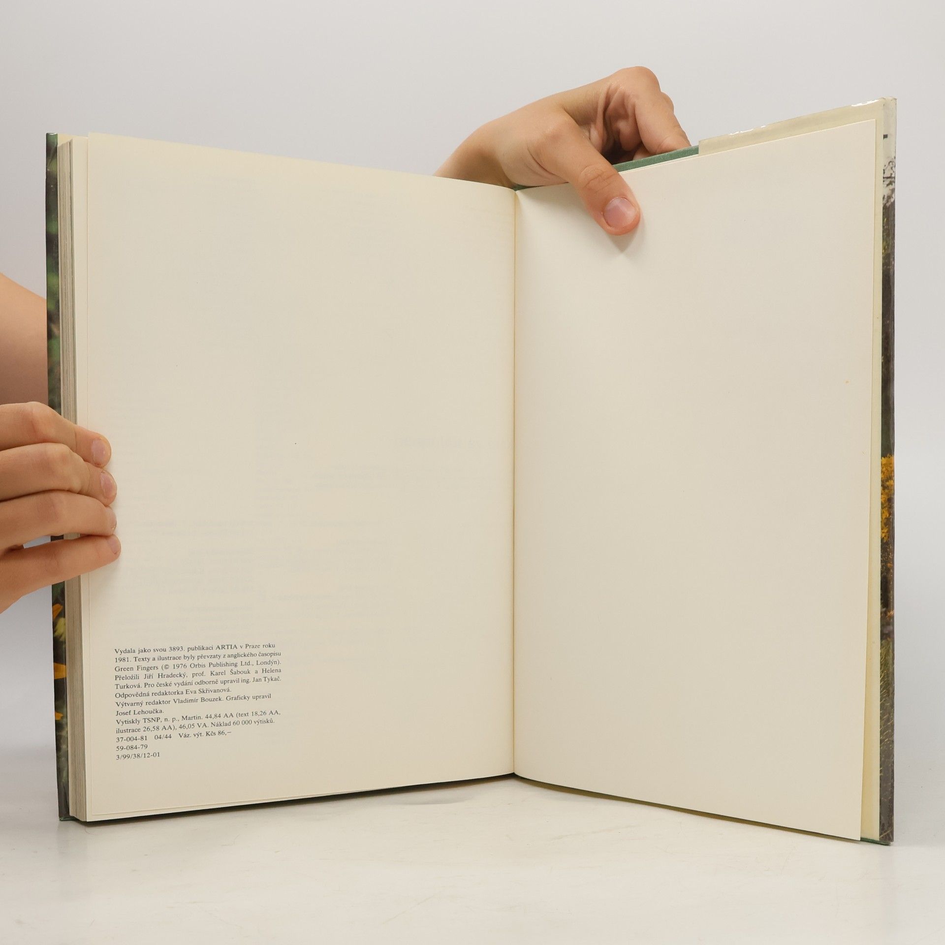 Various authors Léto v zahradě
