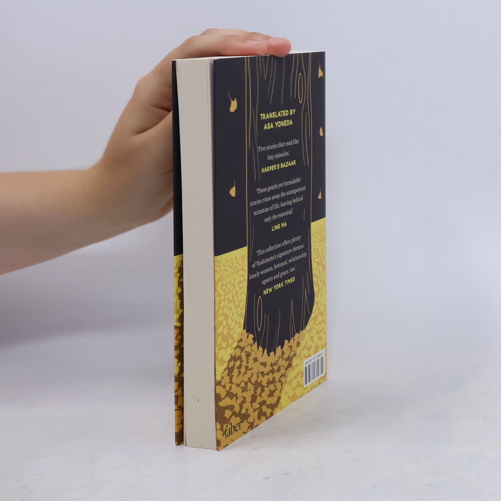 Banana Yoshimoto Dead End Memories