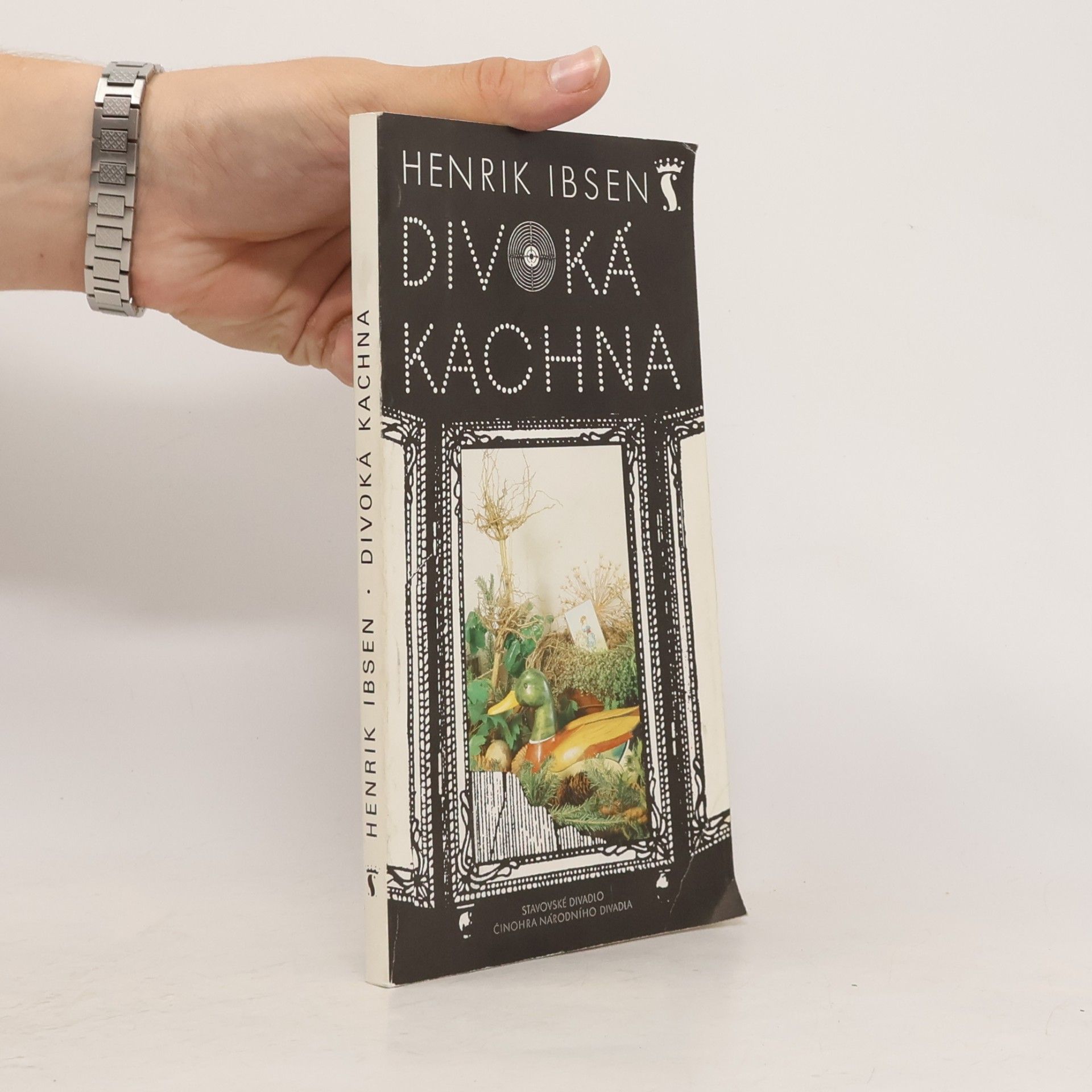 Henrik Ibsen Divoká kachna