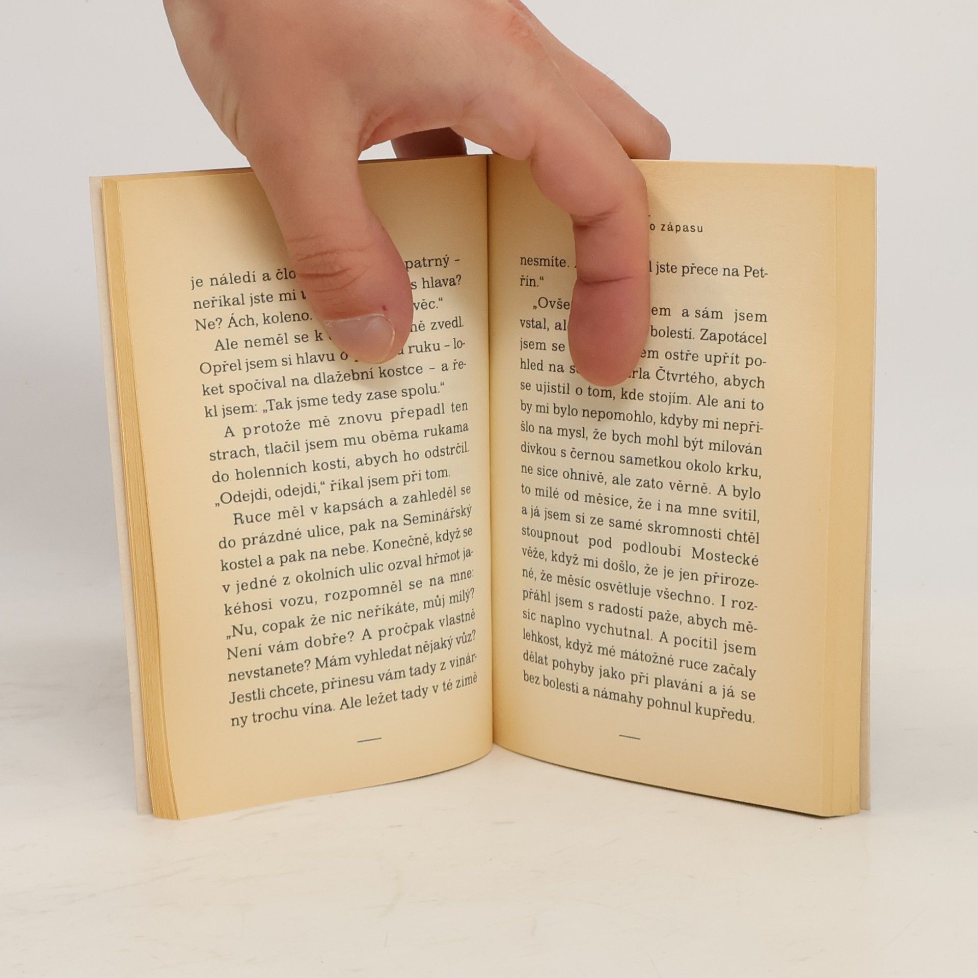 Franz Kafka Popis jednoho zápasu
