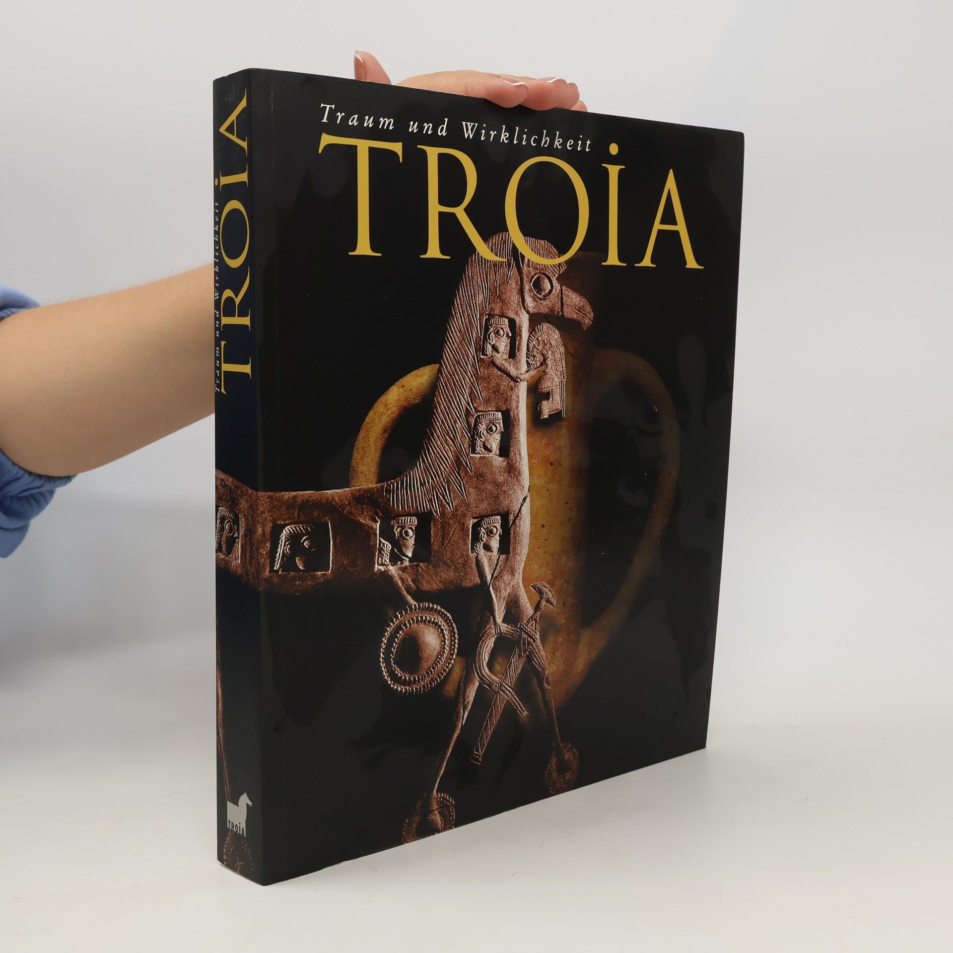 Autorenkollektiv Troia : Traum und wirklichkeit