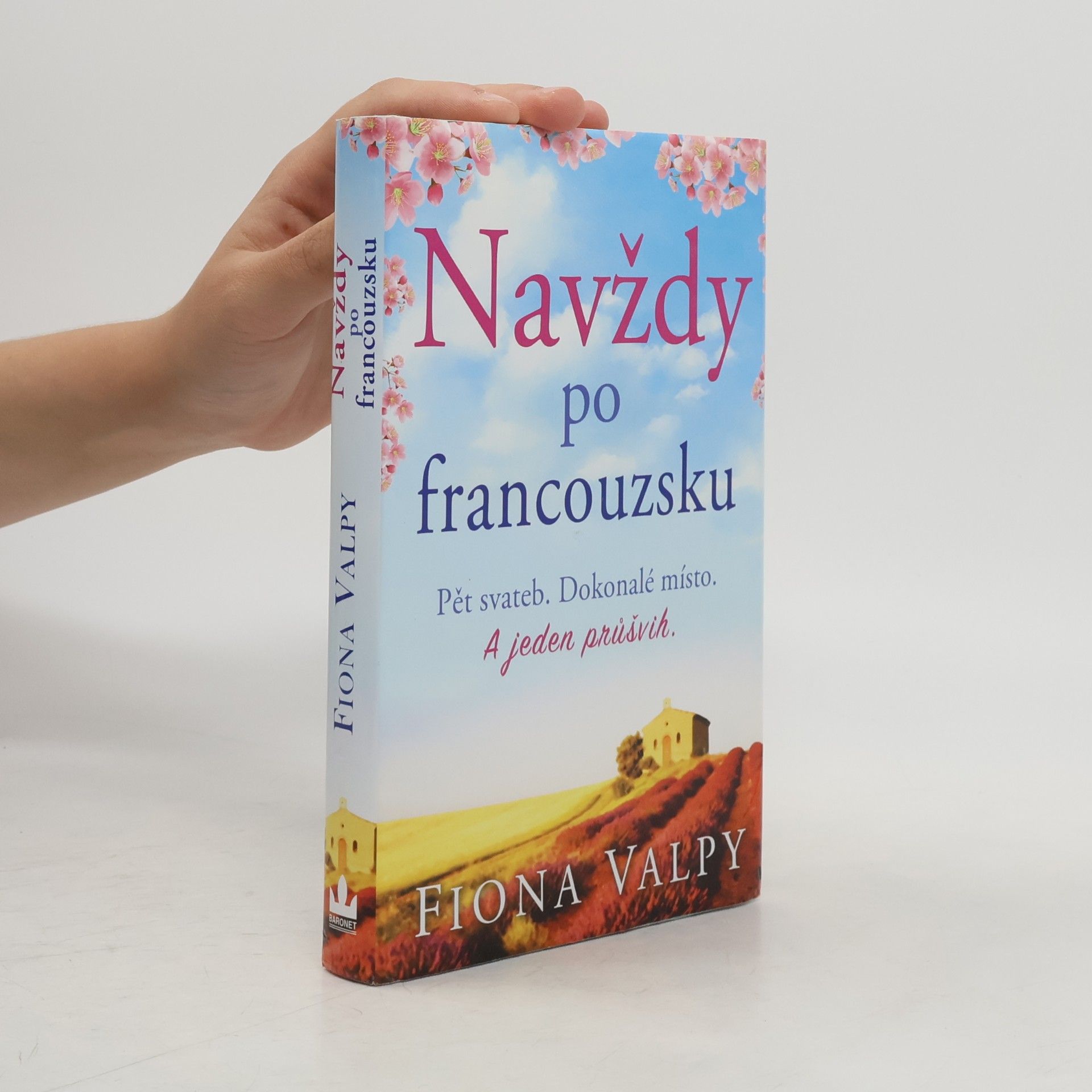 Fiona Valpy Navždy po francouzsku