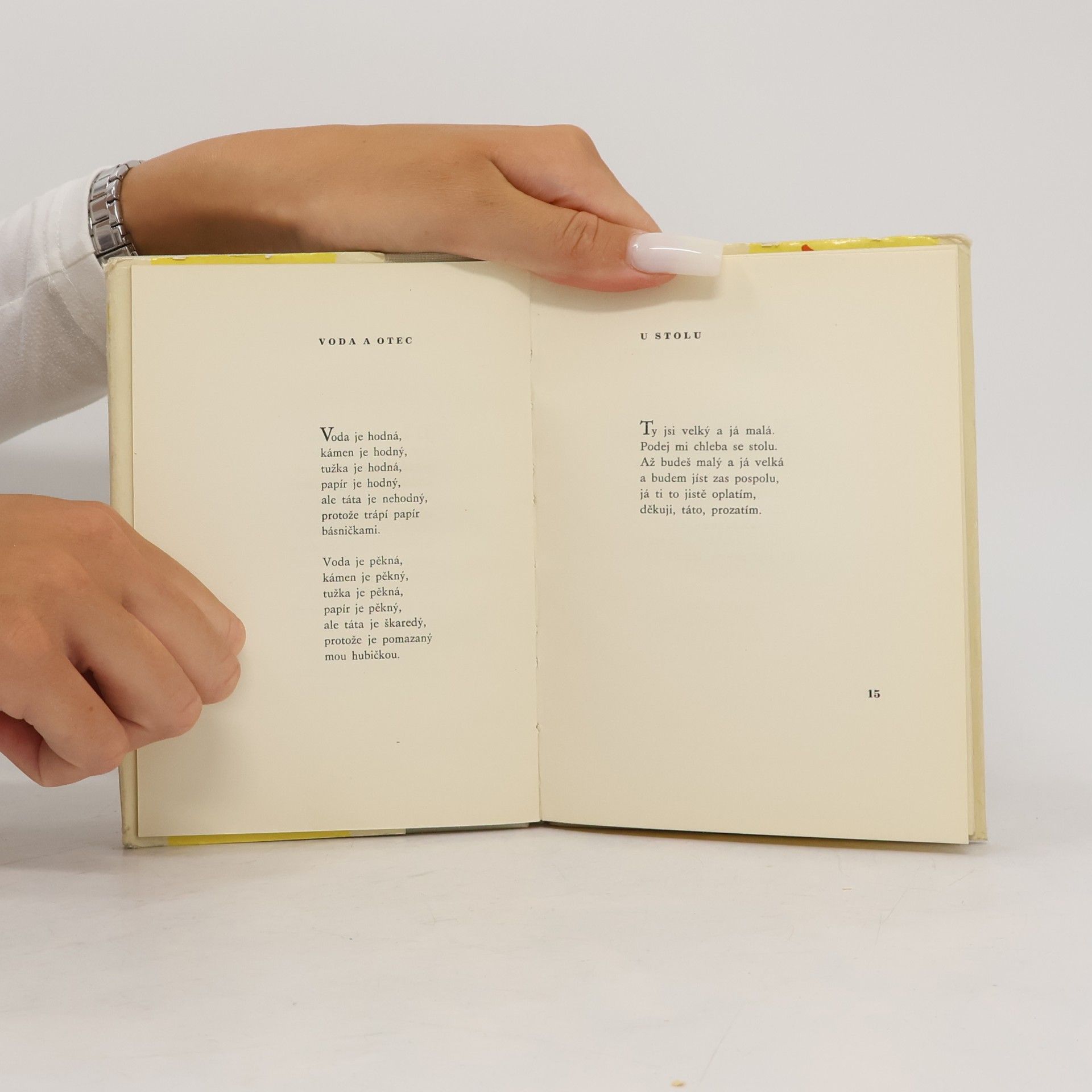 Karel Kapoun Česaná větříčkem