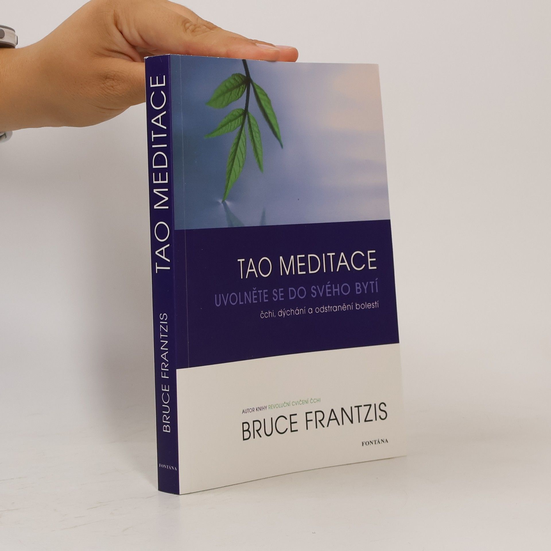 Bruce Kumar Frantzis Tao meditace. Uvolněte se do svého bytí: čchi, dýchání a odstranění bolesti