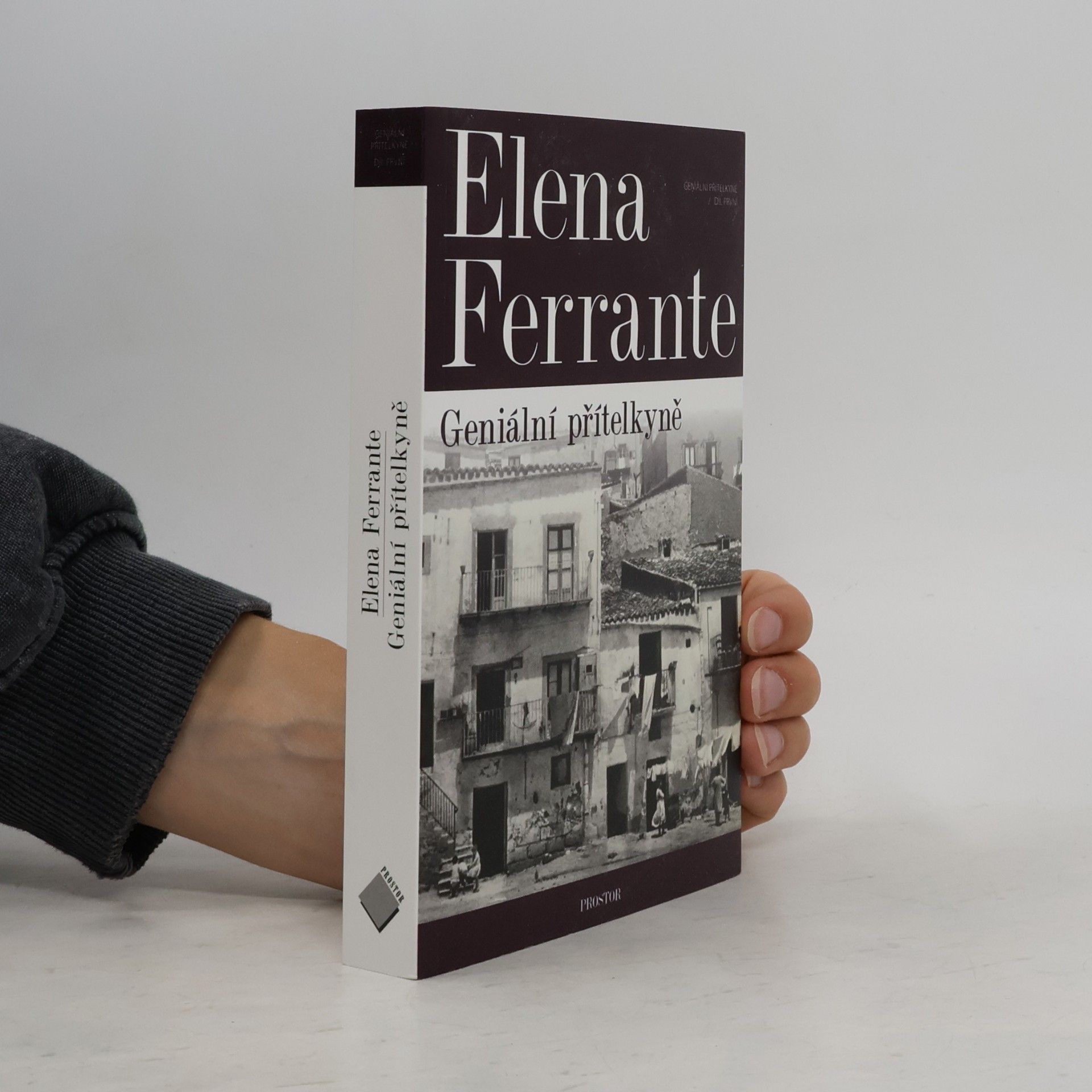 Elena Ferrante Geniální přítelkyně 1. Dětství a dospívání