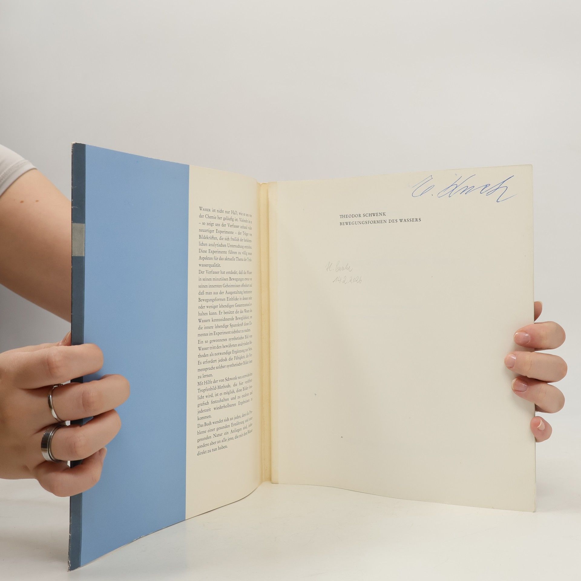 Theodor Schwenk Bewegungsformen des Wassers