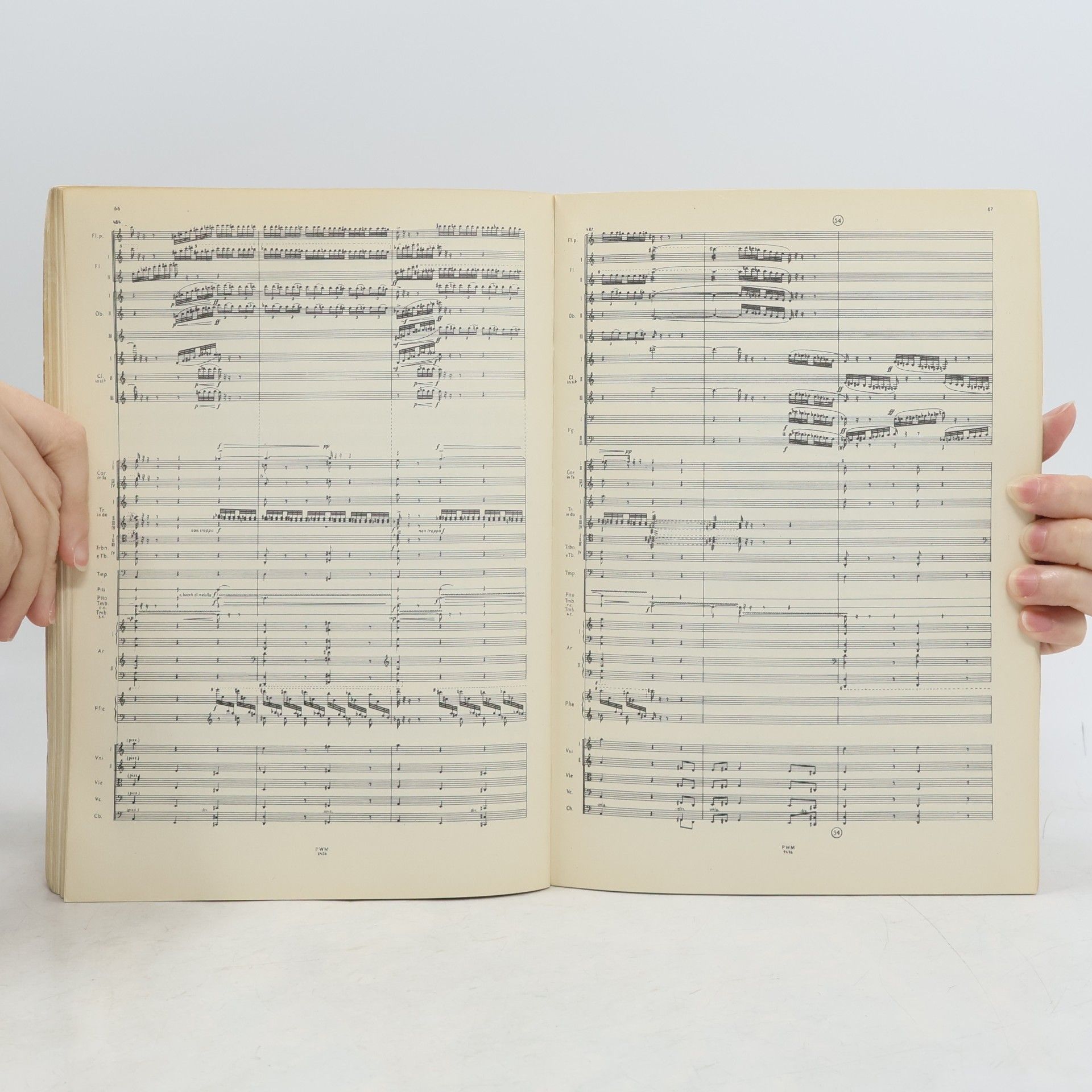 Wincenty Lutosławski Koncert Na orkiestre