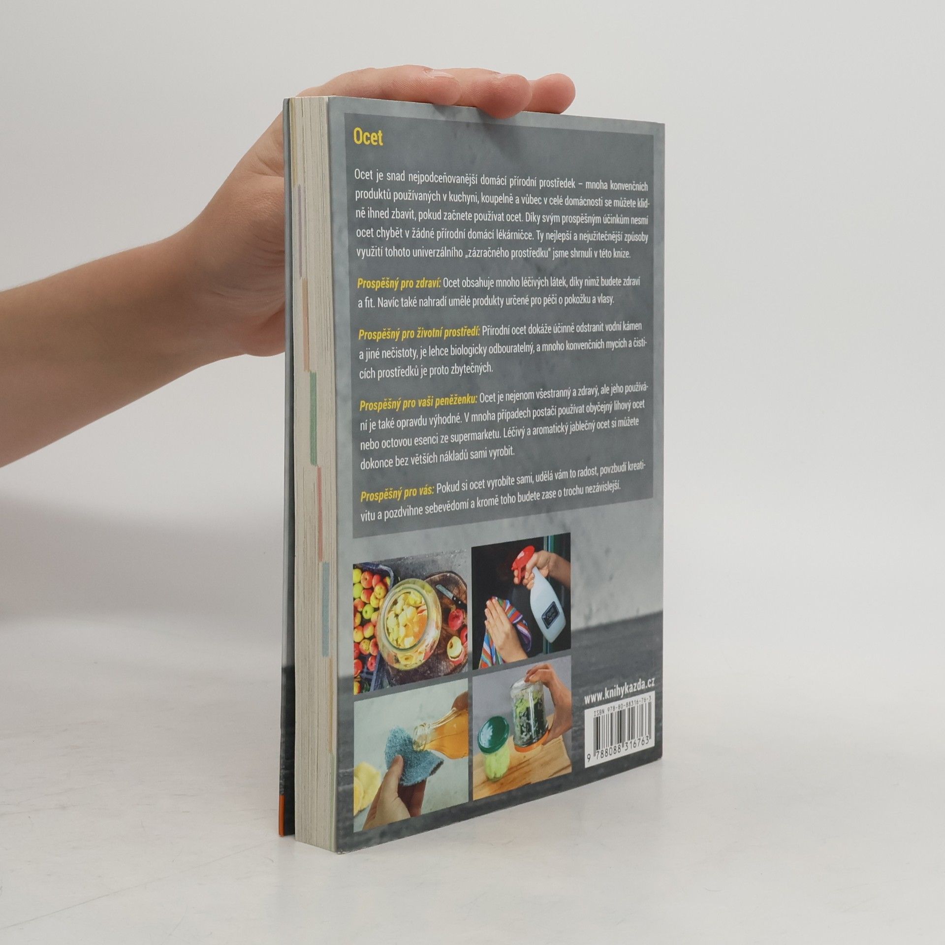 Various authors Ocet - univerzální domácí prostředek