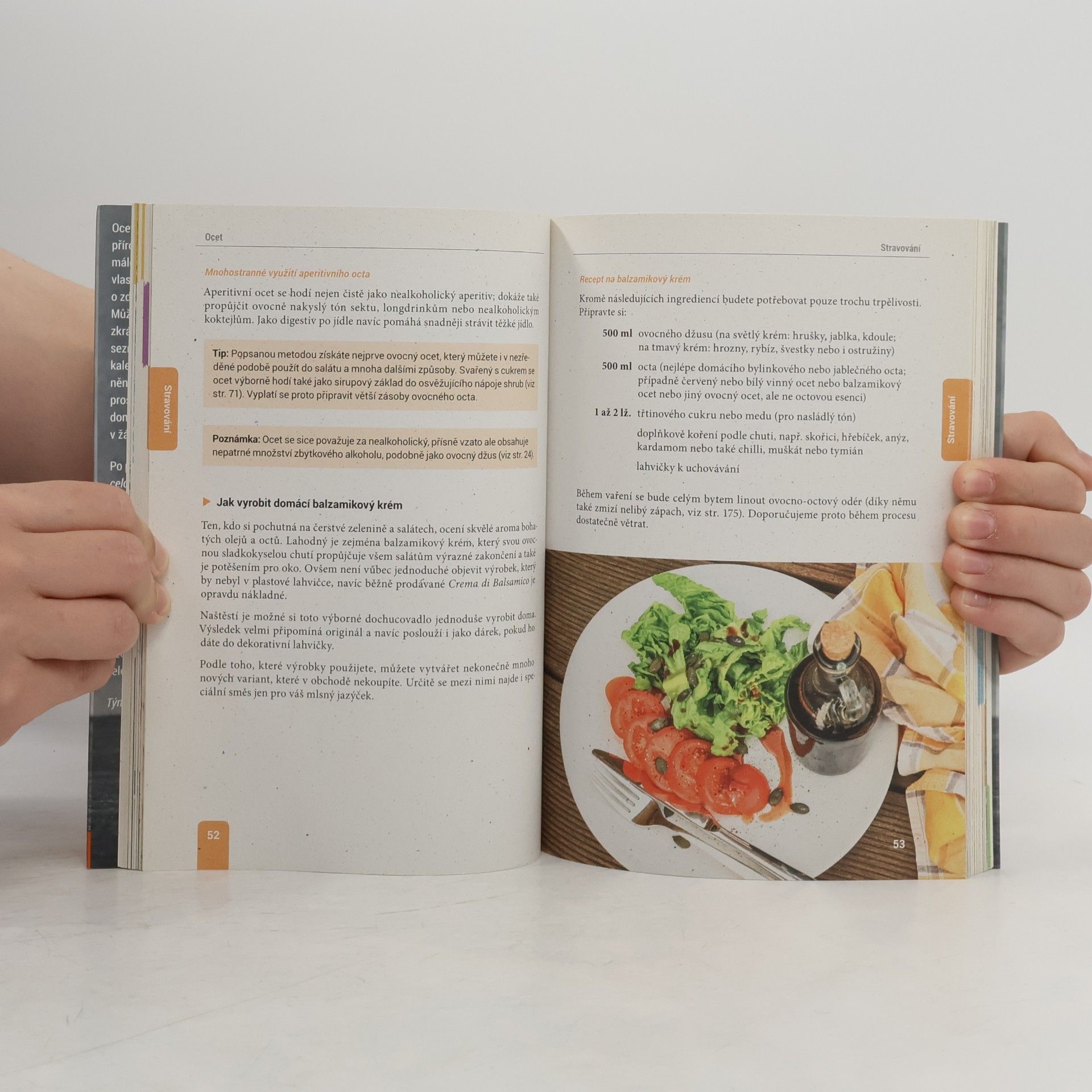 Various authors Ocet - univerzální domácí prostředek