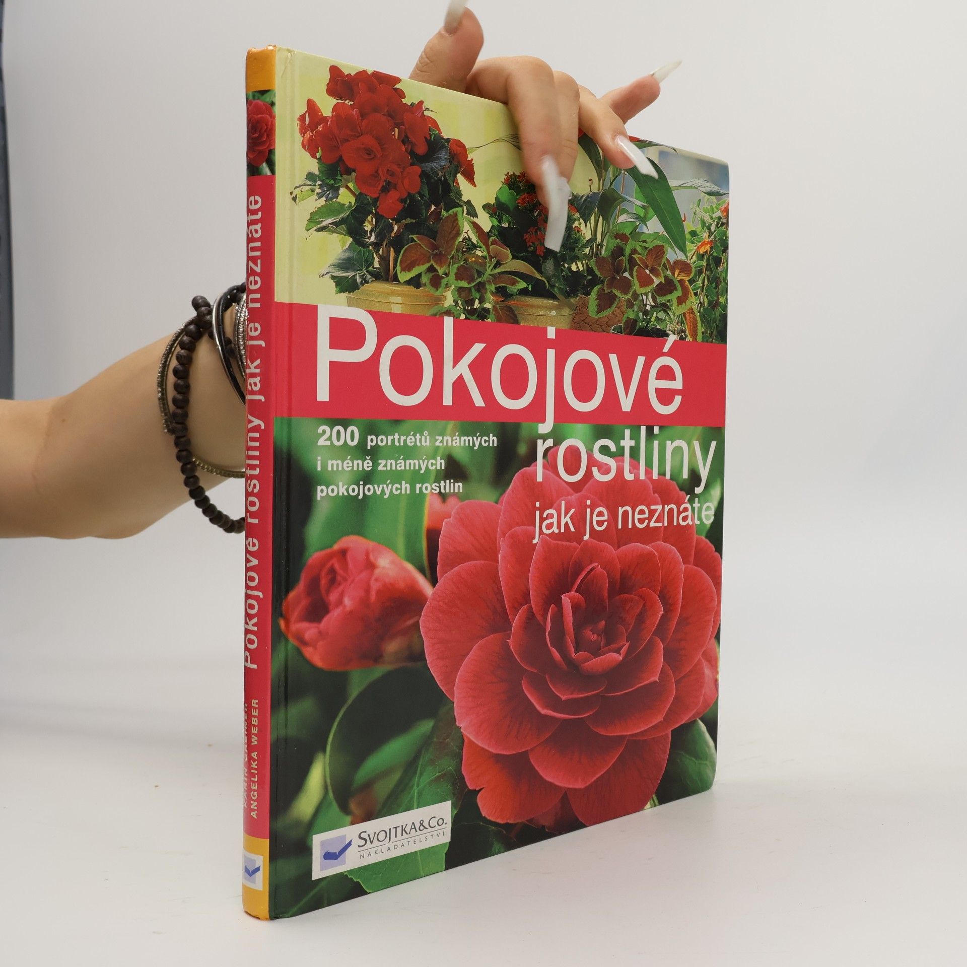 Annette Hempfling Pokojové rostliny jak je neznáte