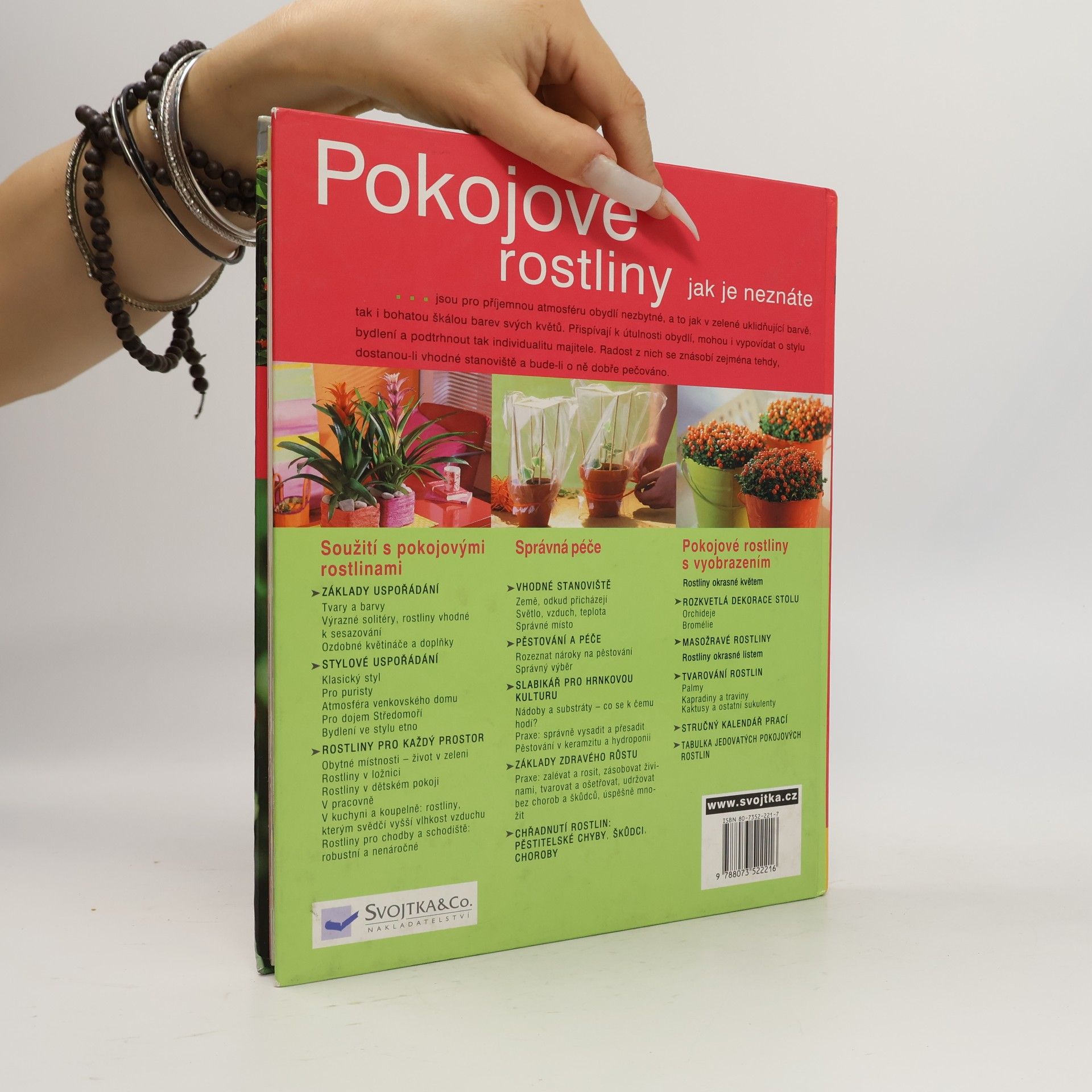 Karin Greiner Pokojové rostliny jak je neznáte