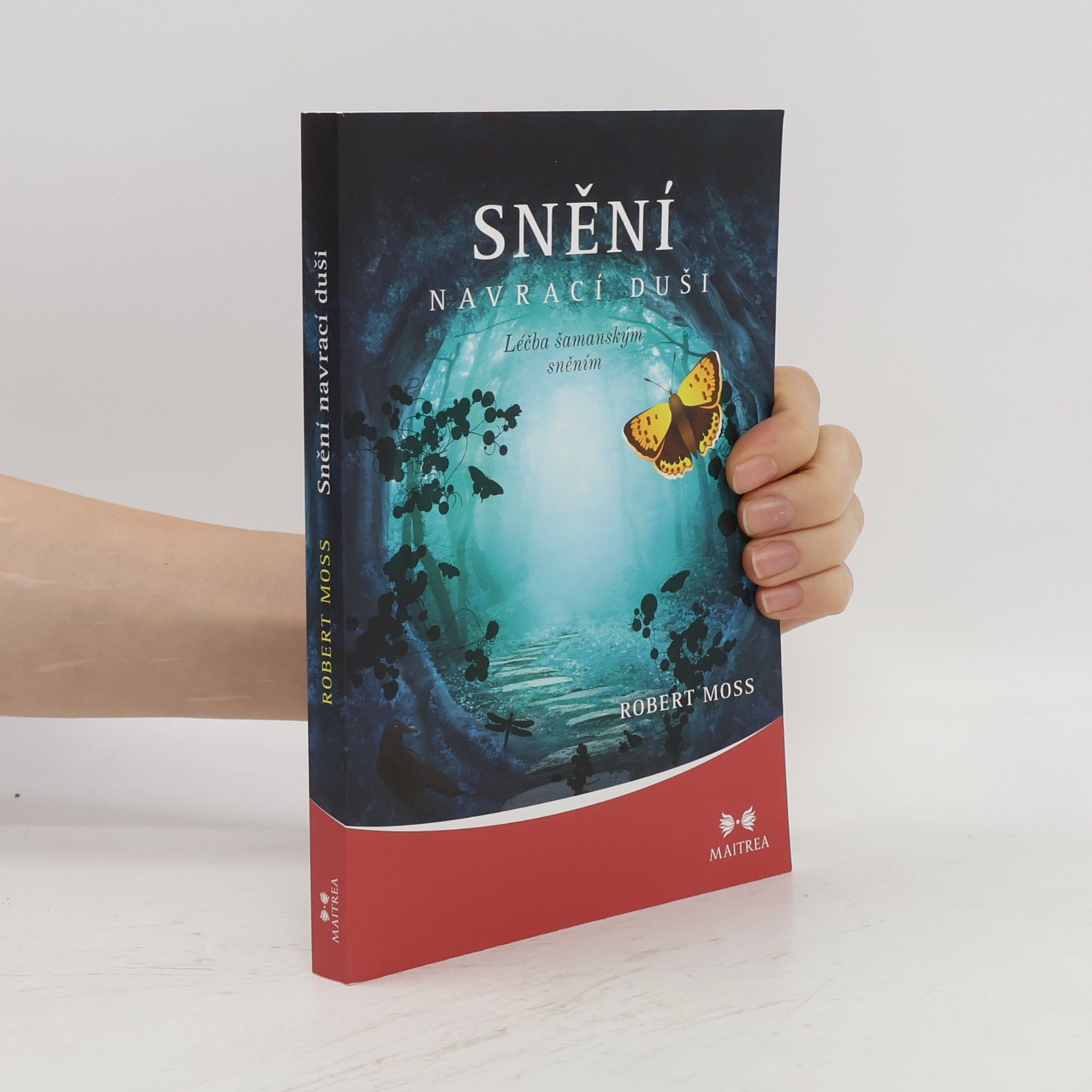 Robert Moss Snění navrací duši. Léčba šamanským sněním